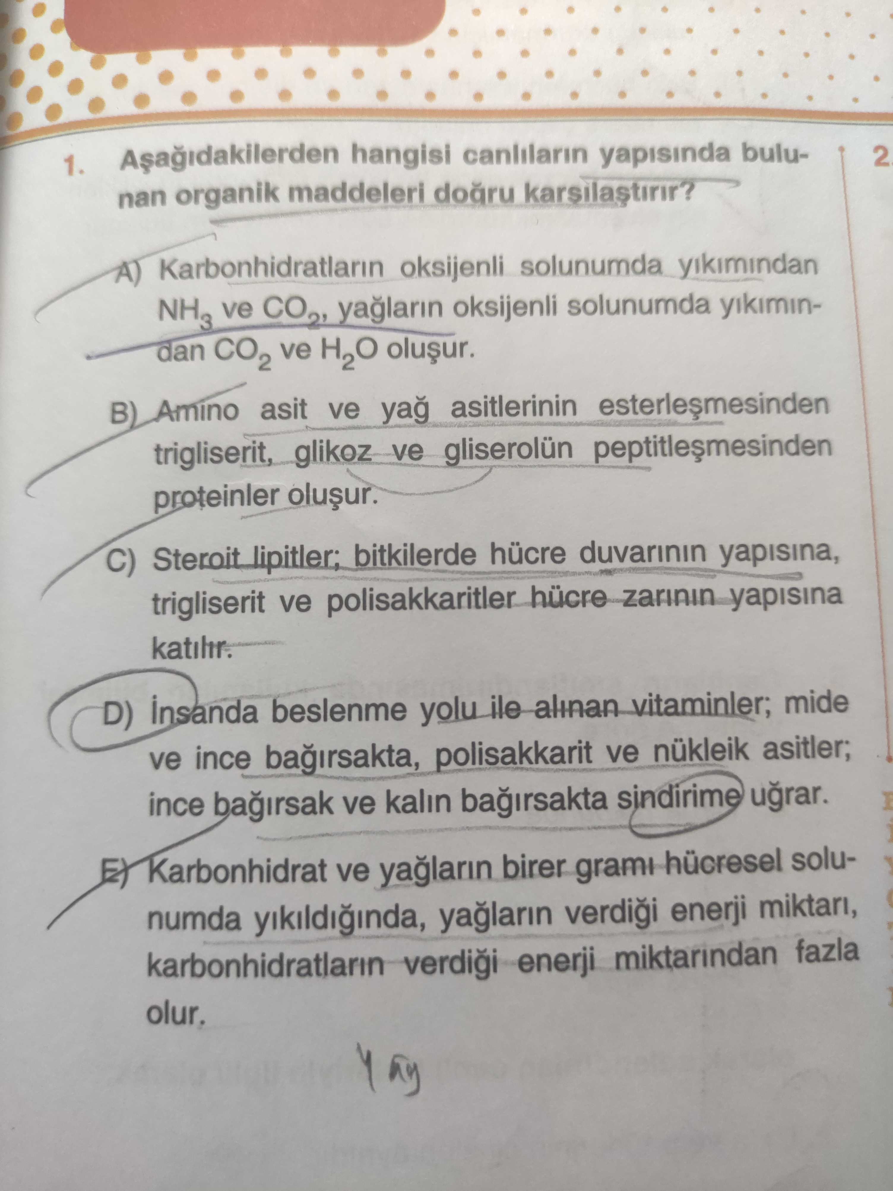 Aşağıdakilerden hangisi canlıların yapısında bulunan organik maddeleri doğru karşılaştırır?