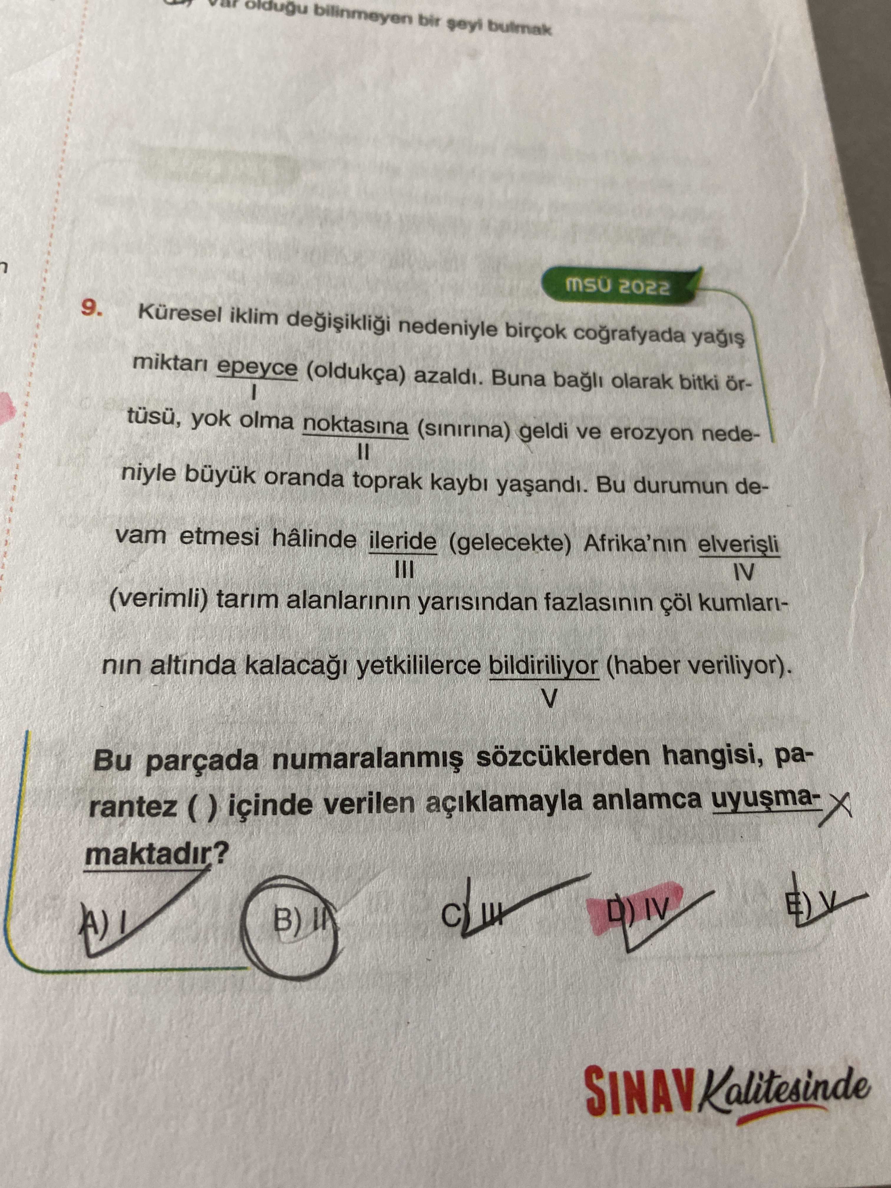 Türkçe (12. Sınıf)