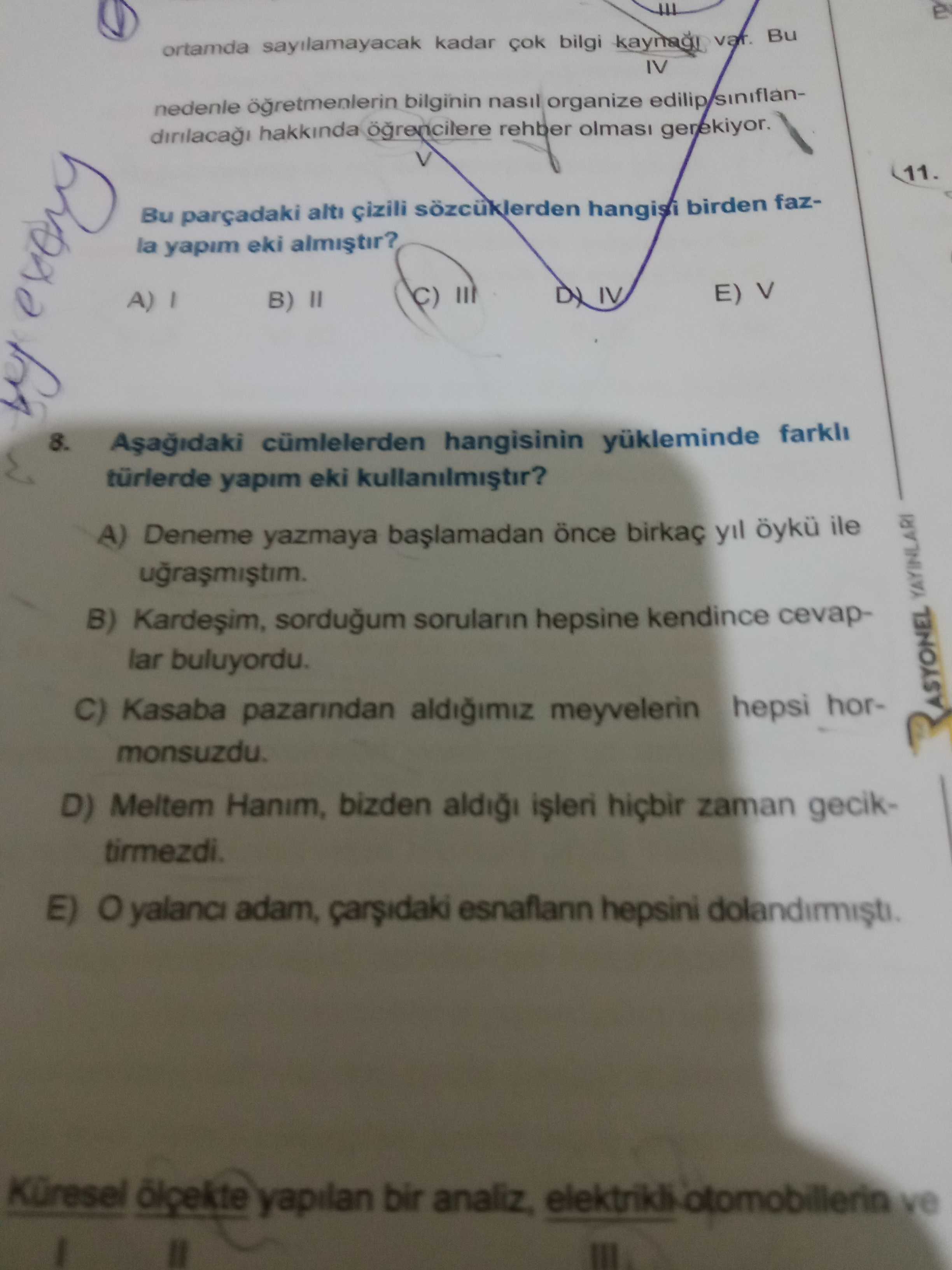 Türkçe (Mezun)