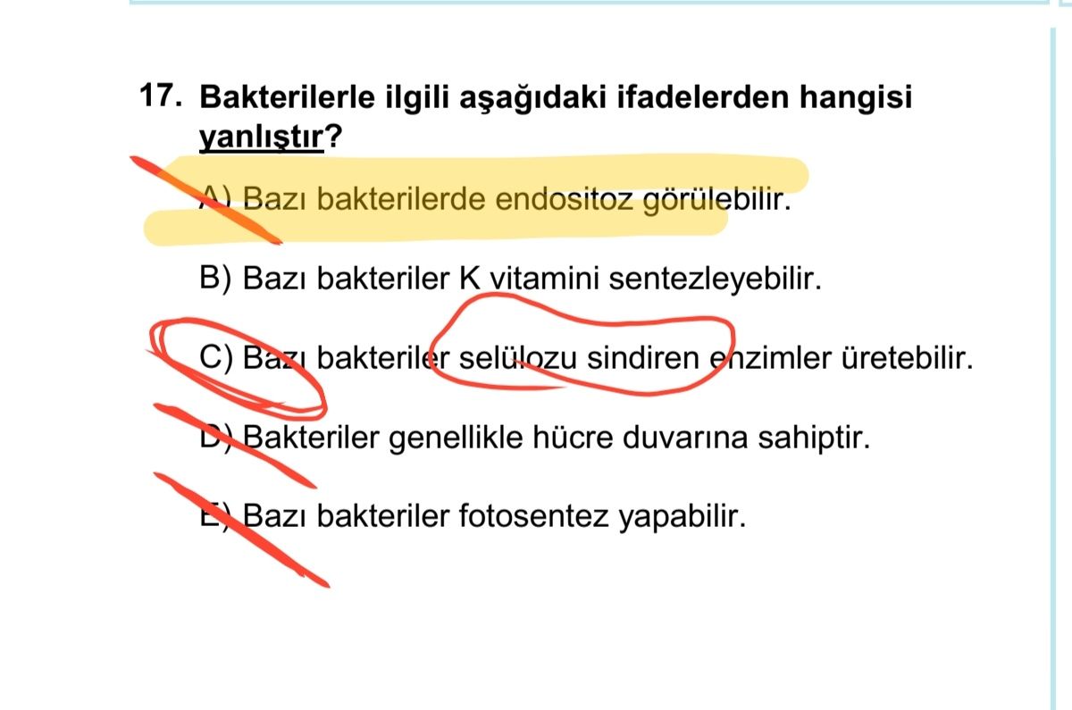 Bakterilerle ilgili aşağıdaki ifadelerden hangisi yanlıştır?