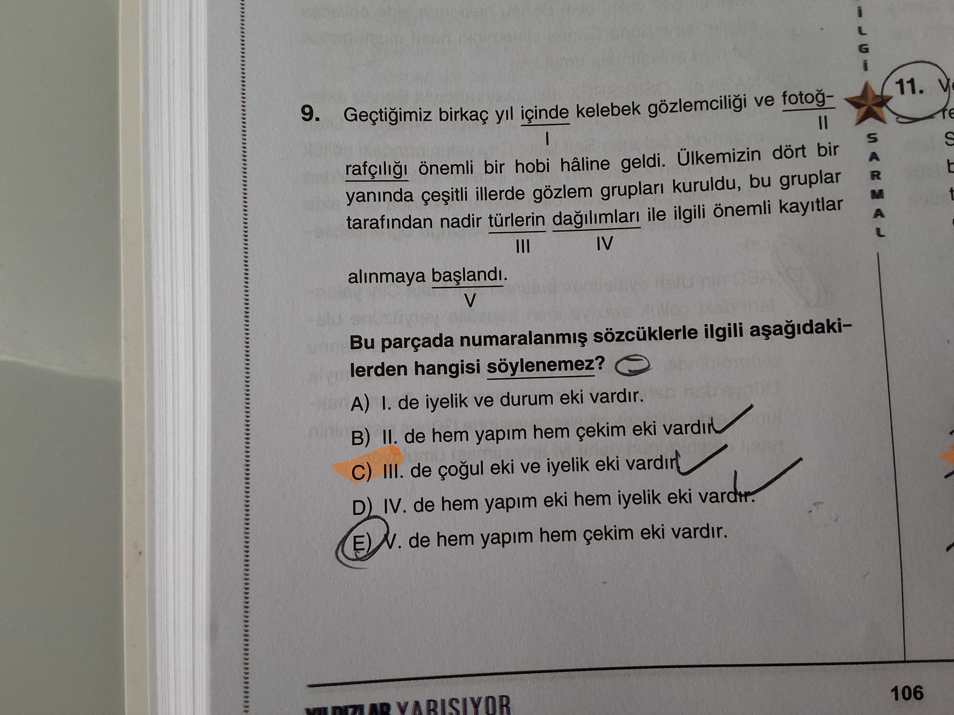 Geçtiğimiz birkaç yıl içinde kelebek gözlemciliği ve fotoğI II rafçılığı önemli bir hobi hâline
