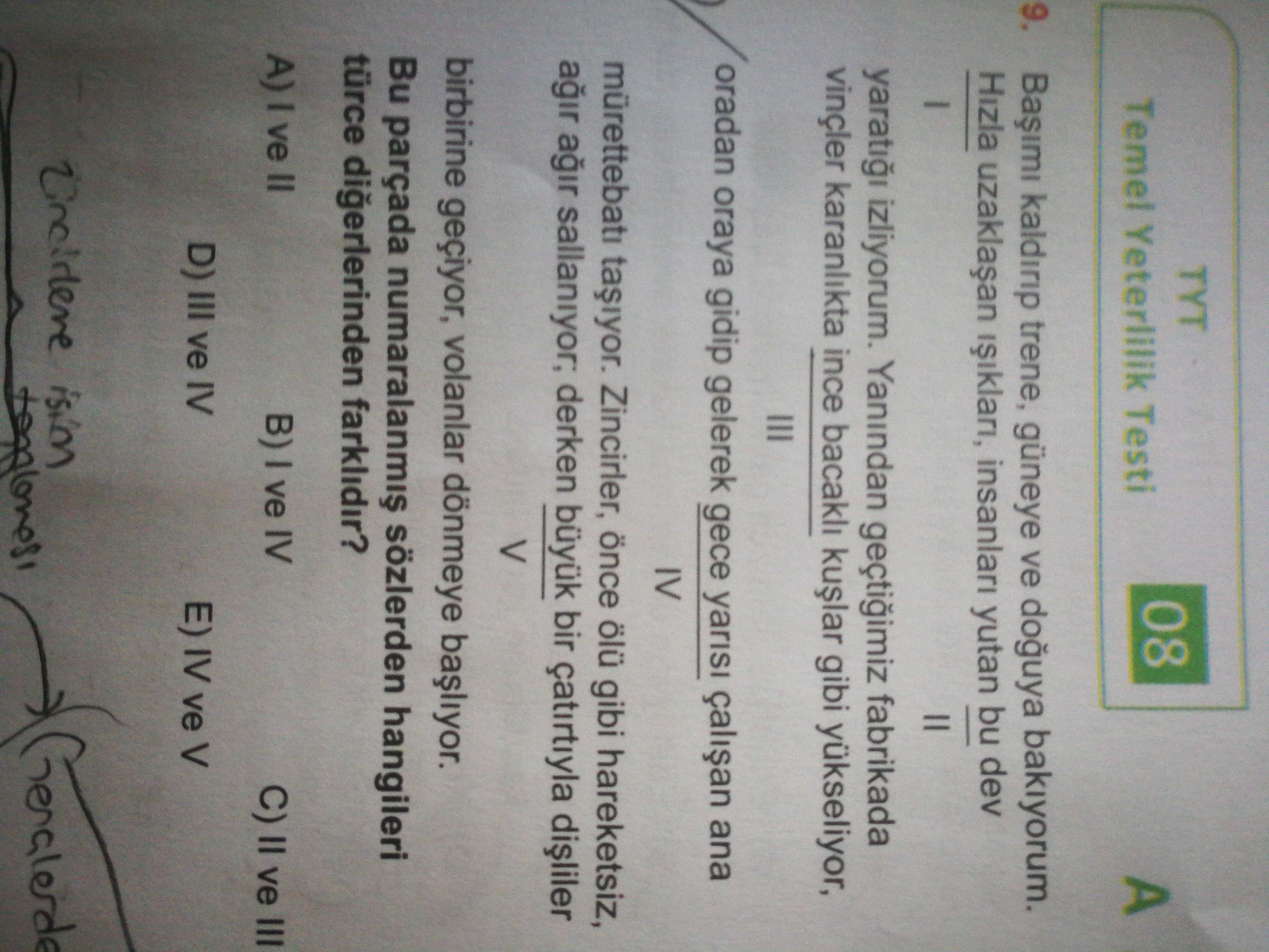 Türkçe (12. Sınıf)