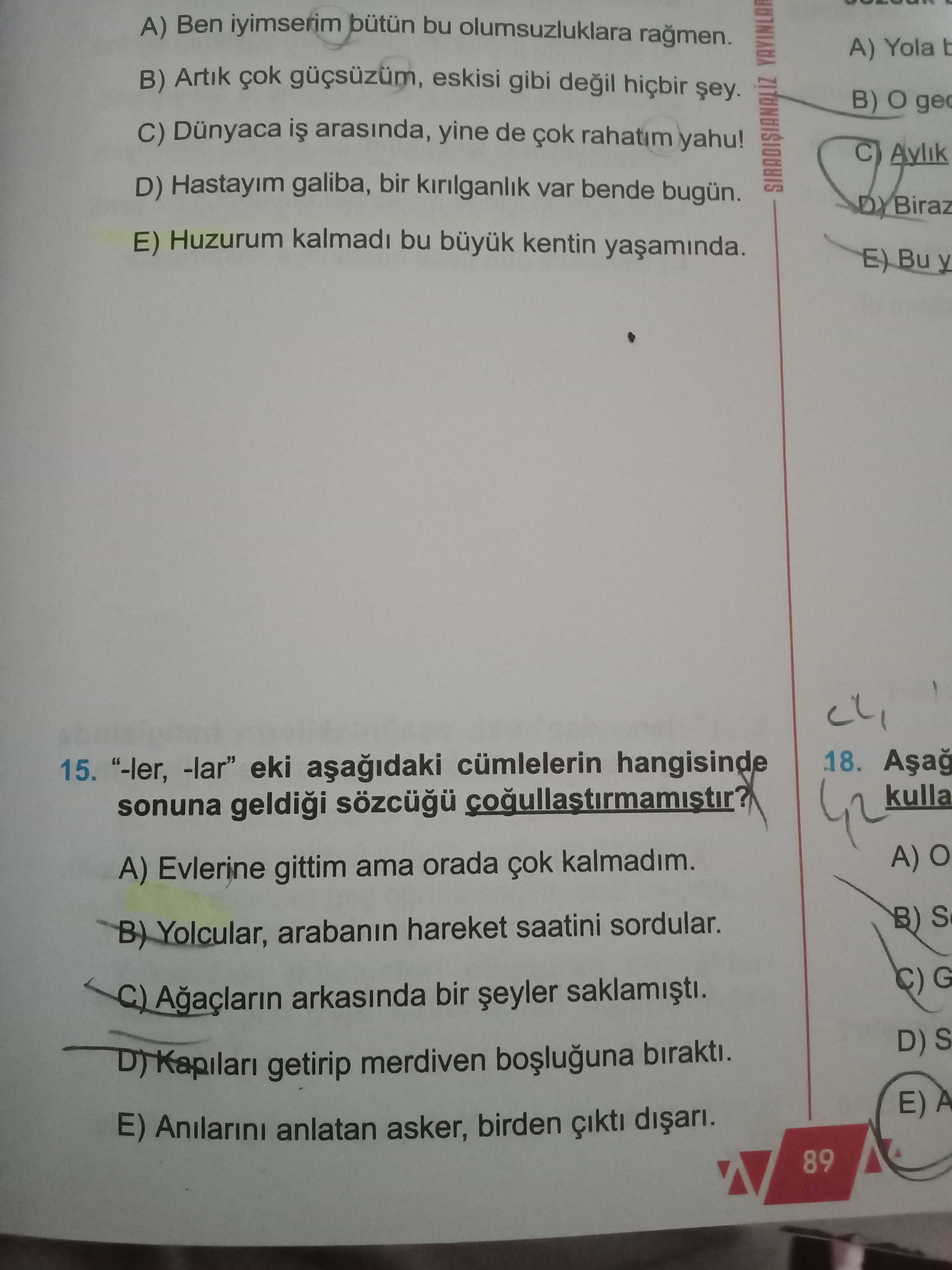 Türkçe (12. Sınıf)