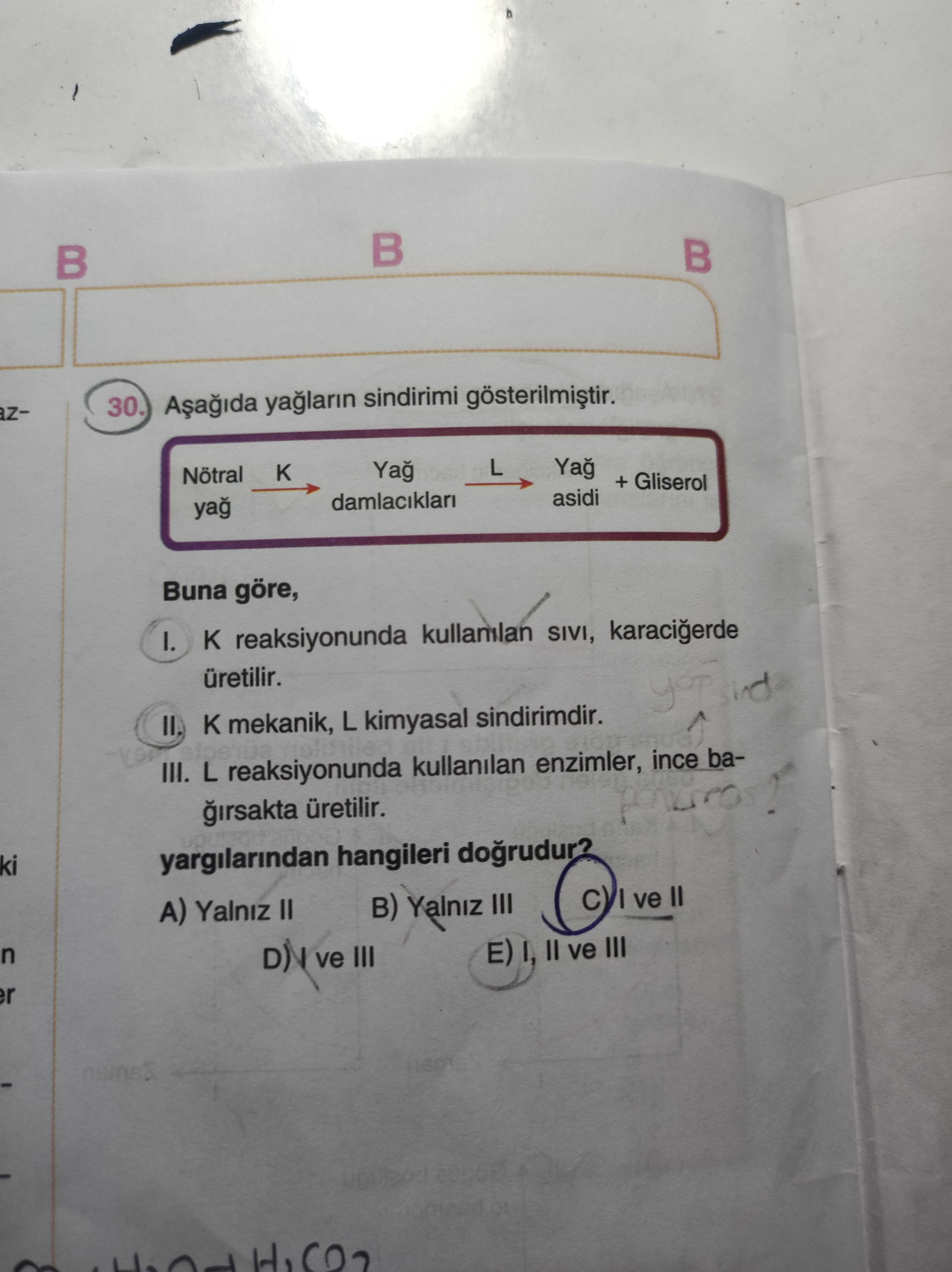 Aşağıda yağların sindirimi gösterilmiştir. Nötral yağ →K→ Yağ damlacıkları →L→ Yağ asidi + Gliserol
