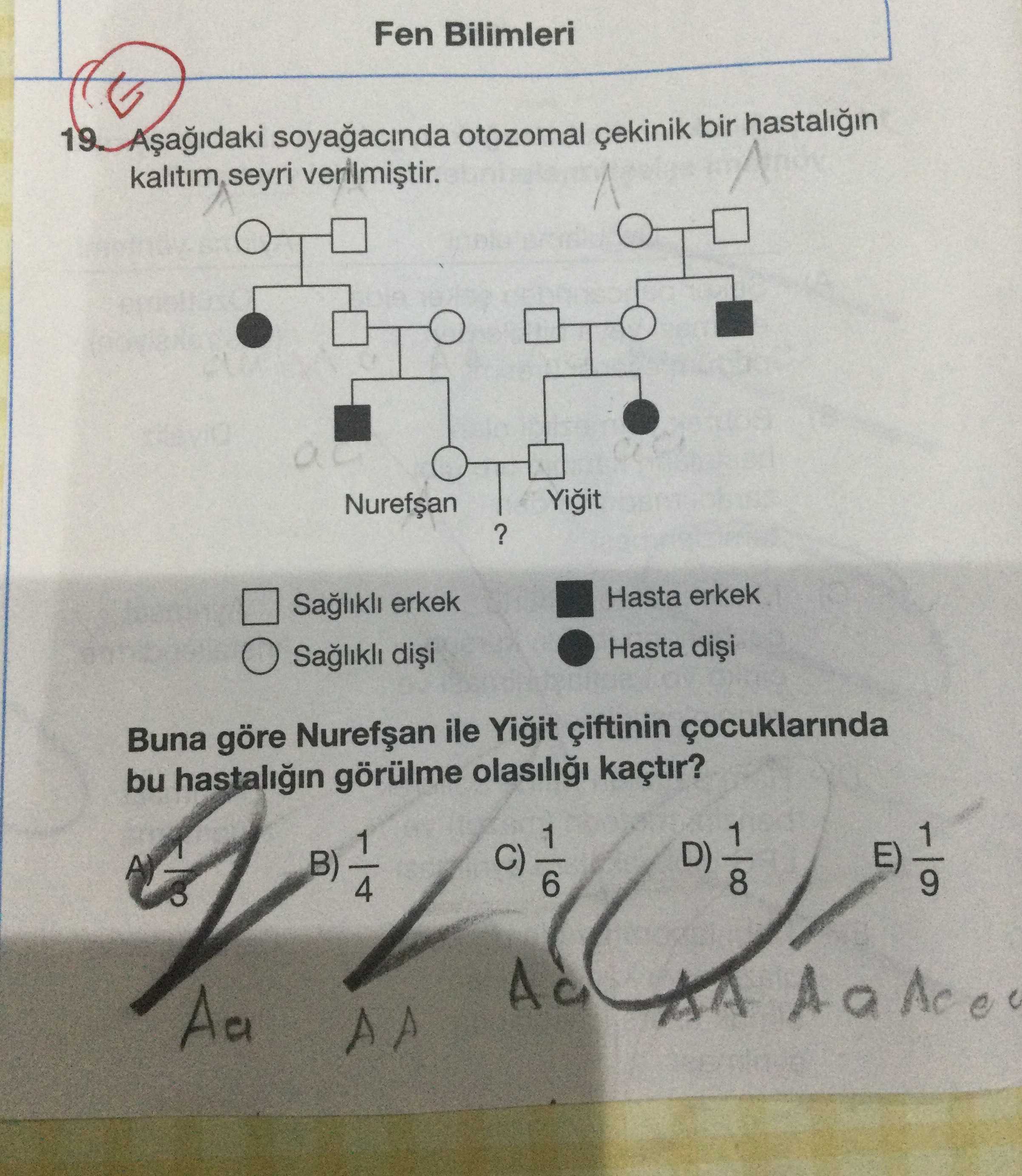 Aşağıdaki soyağacında otozomal çekinik bir hastalığın kalıtım seyri verilmiştir. Buna göre Nurefşan