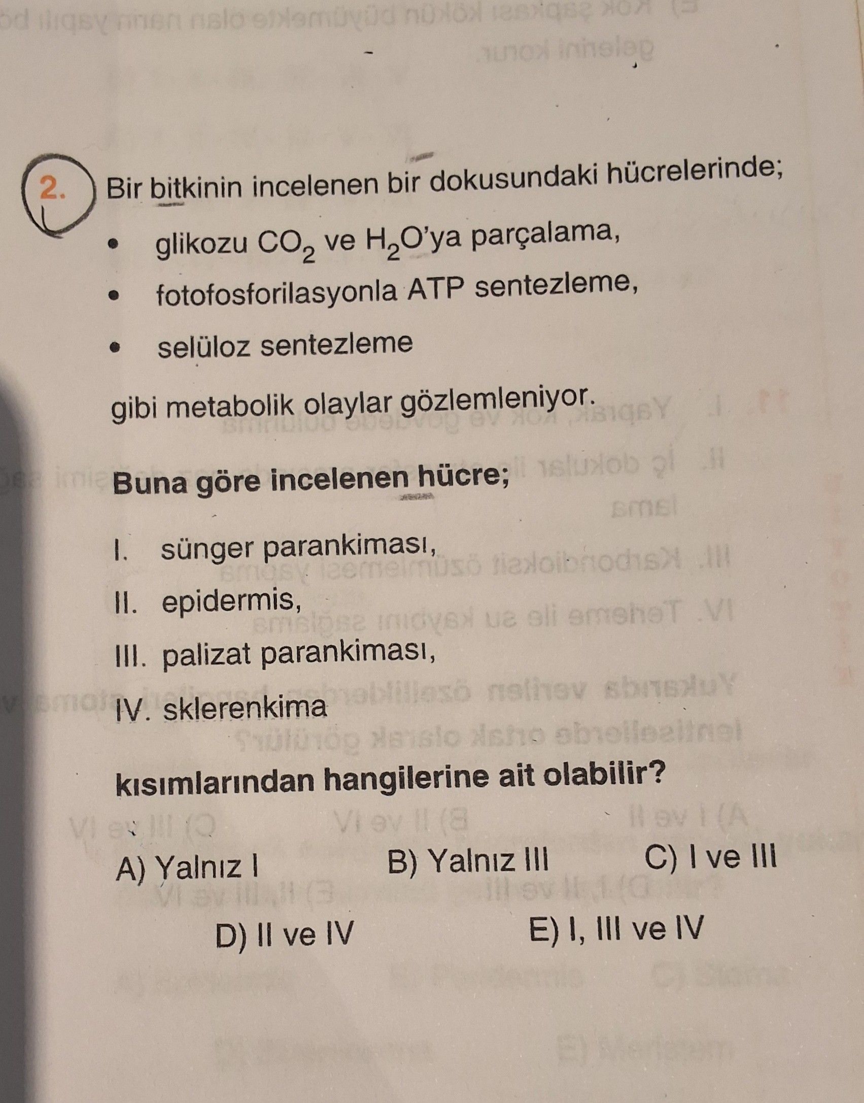 Bir bitkinin incelenen bir dokusundaki hücrelerinde; • glikozu CO₂ ve H₂O'ya parçalama, •