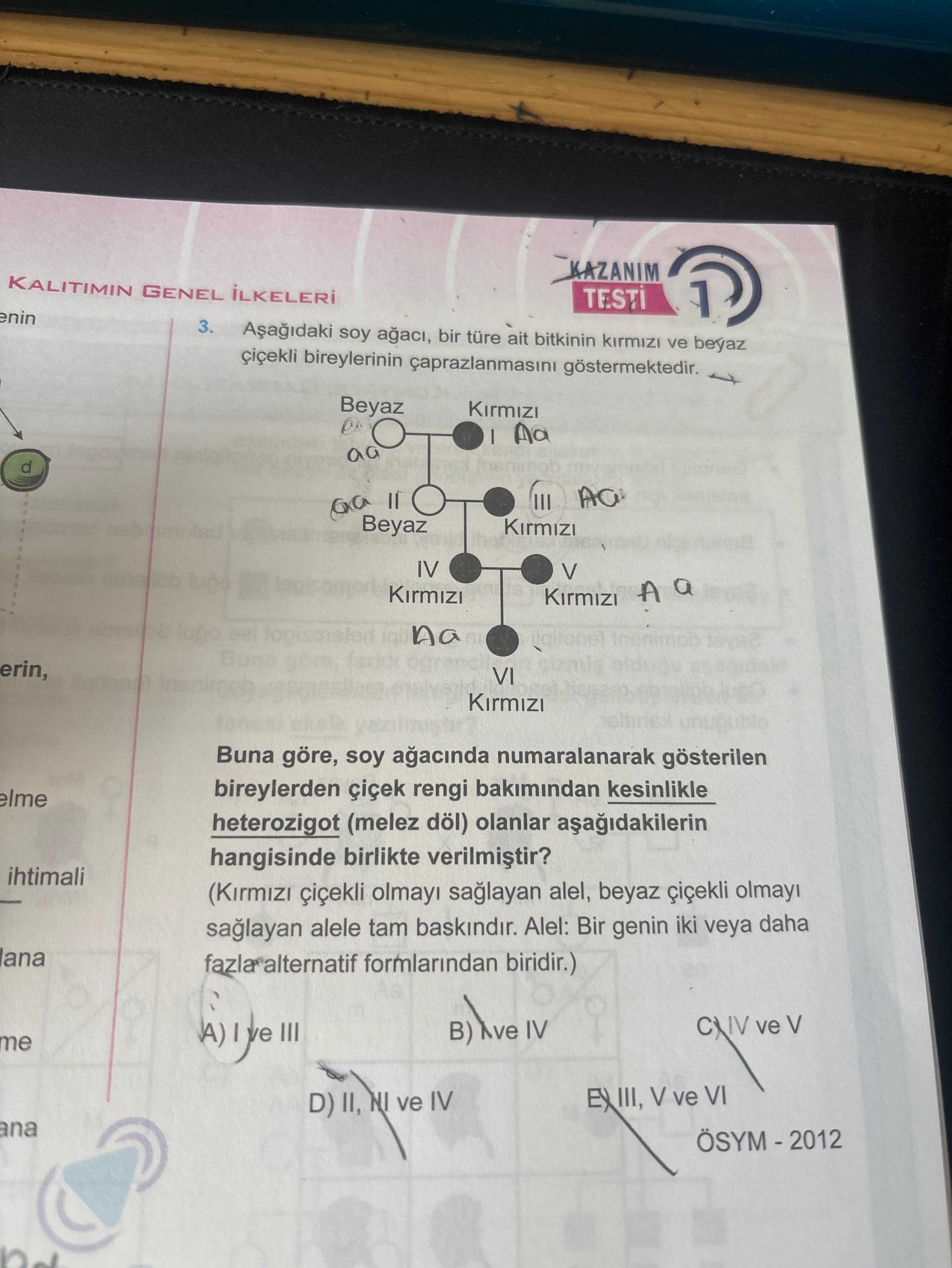 Aşağıdaki soy ağacı, bir türe ait bitkinin kırmızı ve beyaz çiçekli bireylerinin çaprazlanmasını