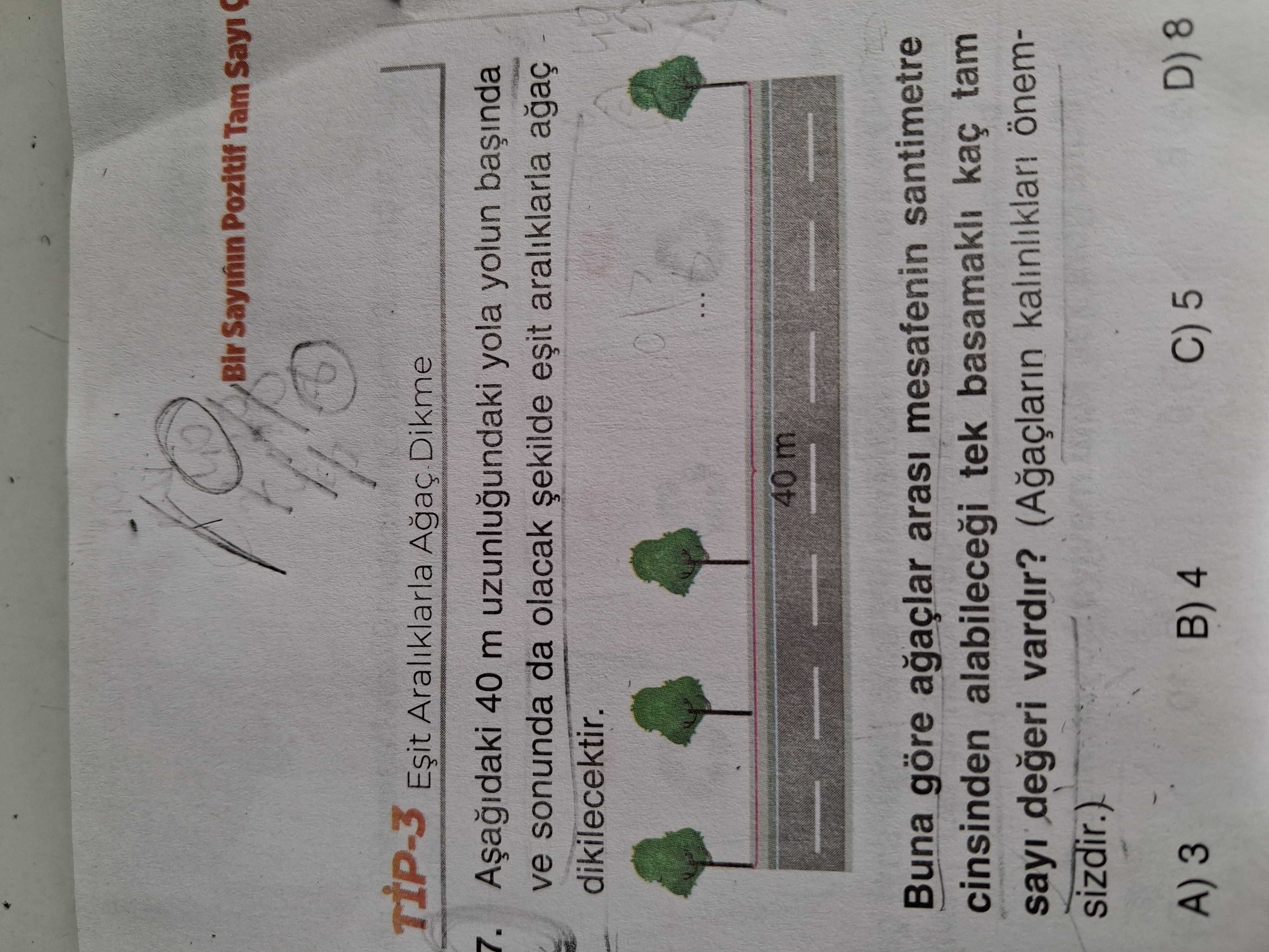 Matematik (8. Sınıf)