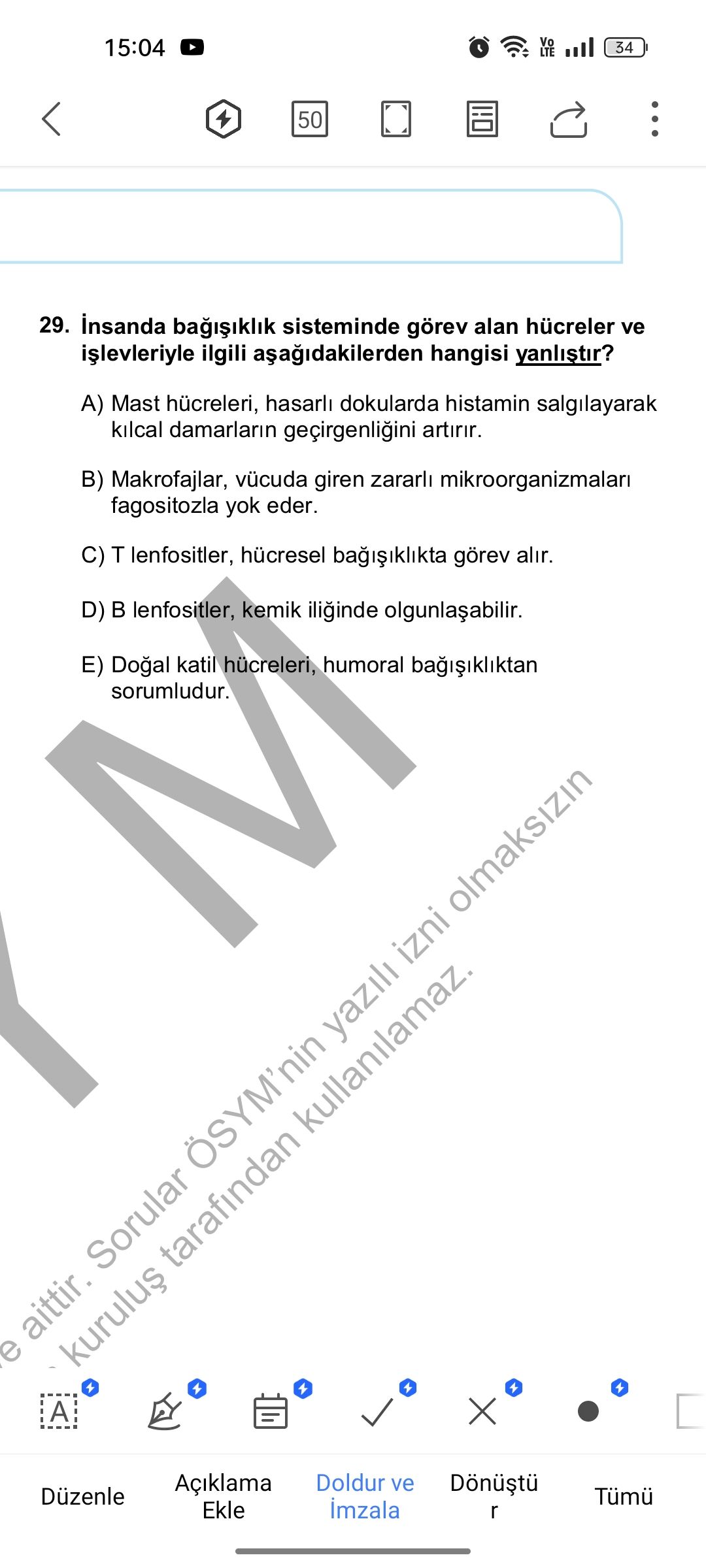 İnsanda bağışıklık sisteminde görev alan hücreler ve işlevleriyle ilgili aşağıdakilerden hangisi