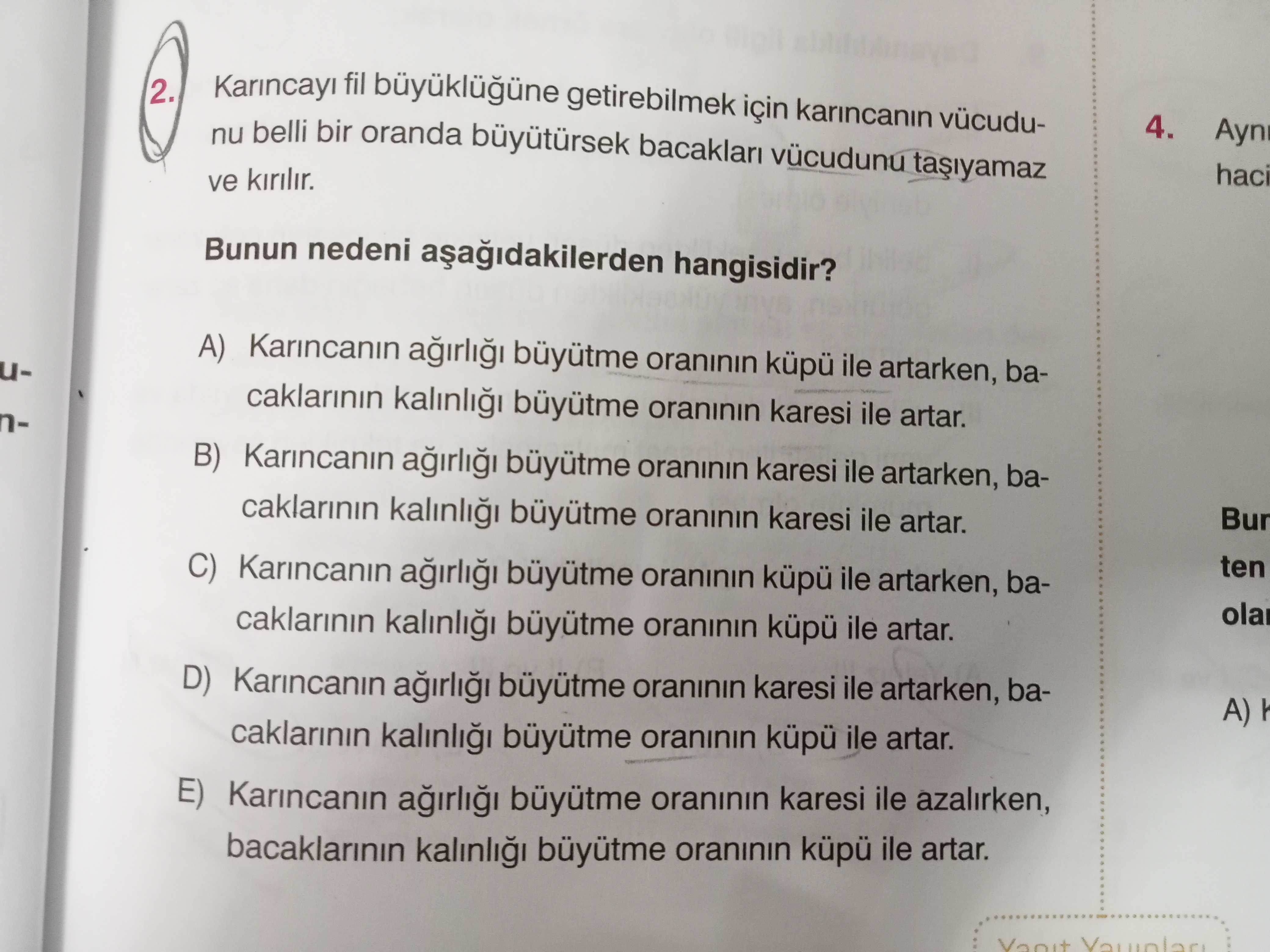 Fizik (11. Sınıf)