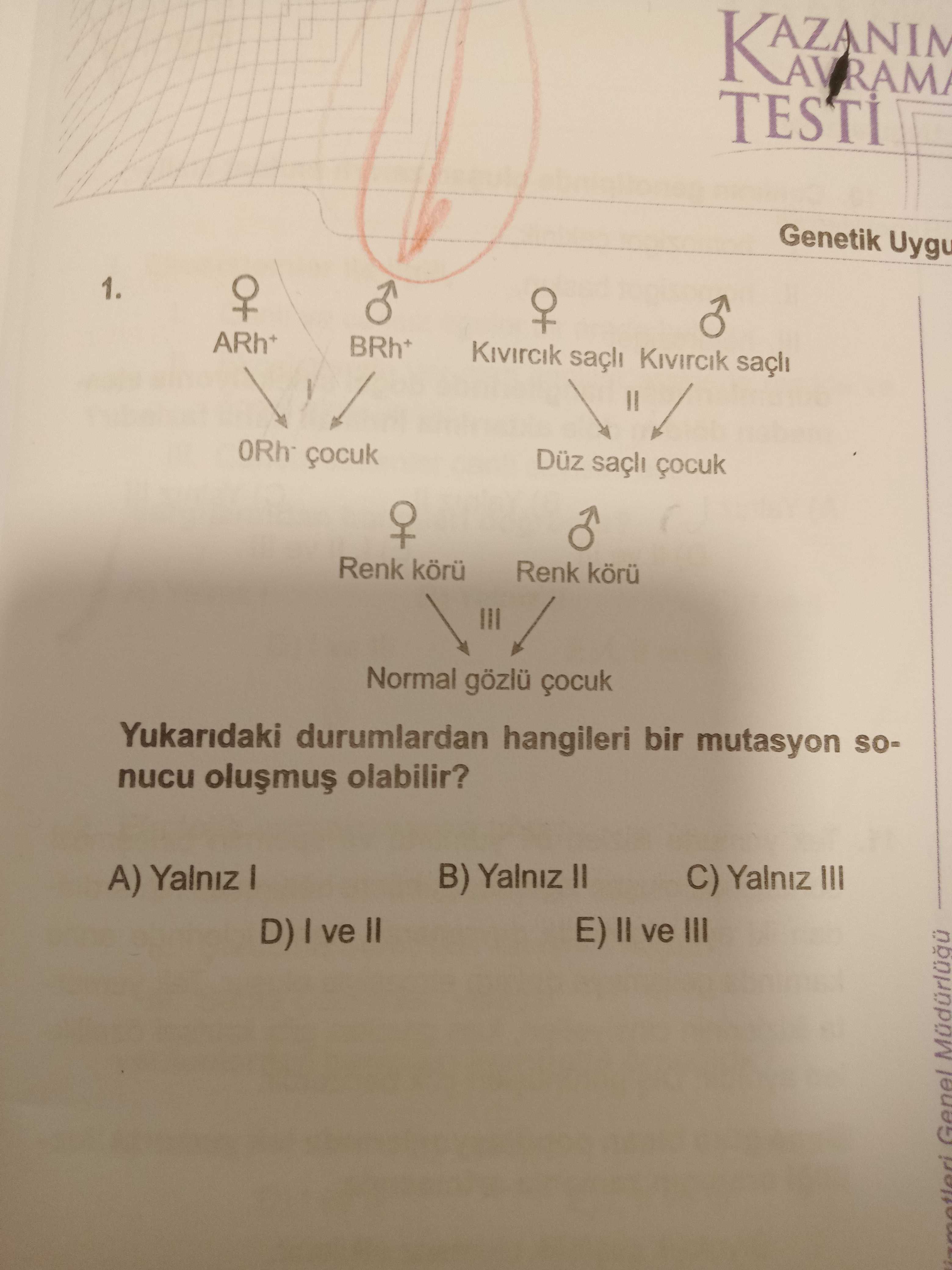 Biyoloji (12. Sınıf)