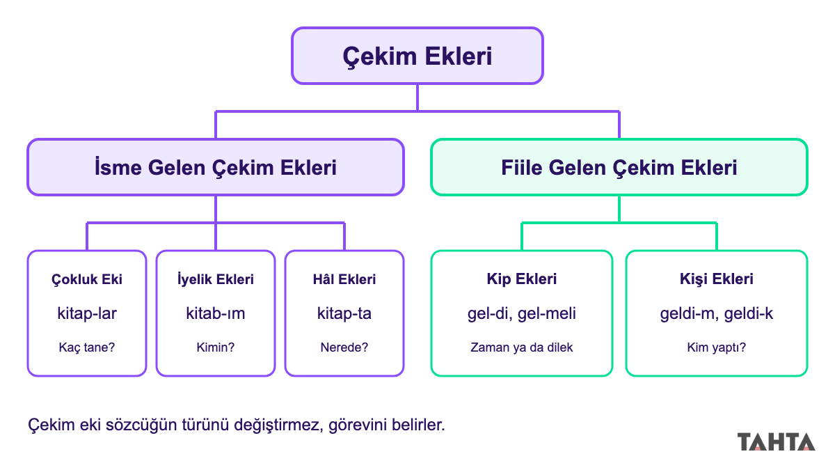 Çekim eklerini isme gelenler ve fiile gelenler olarak iki kola ayıran sınıflandırma şeması