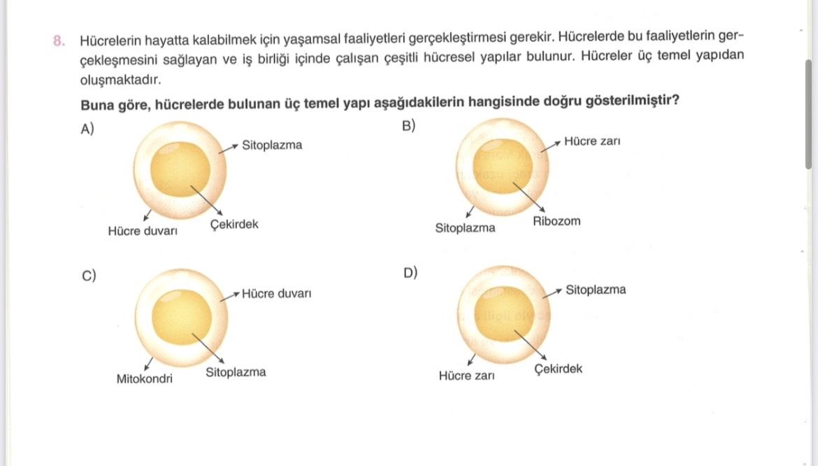 Fen Bilimleri (8. Sınıf)