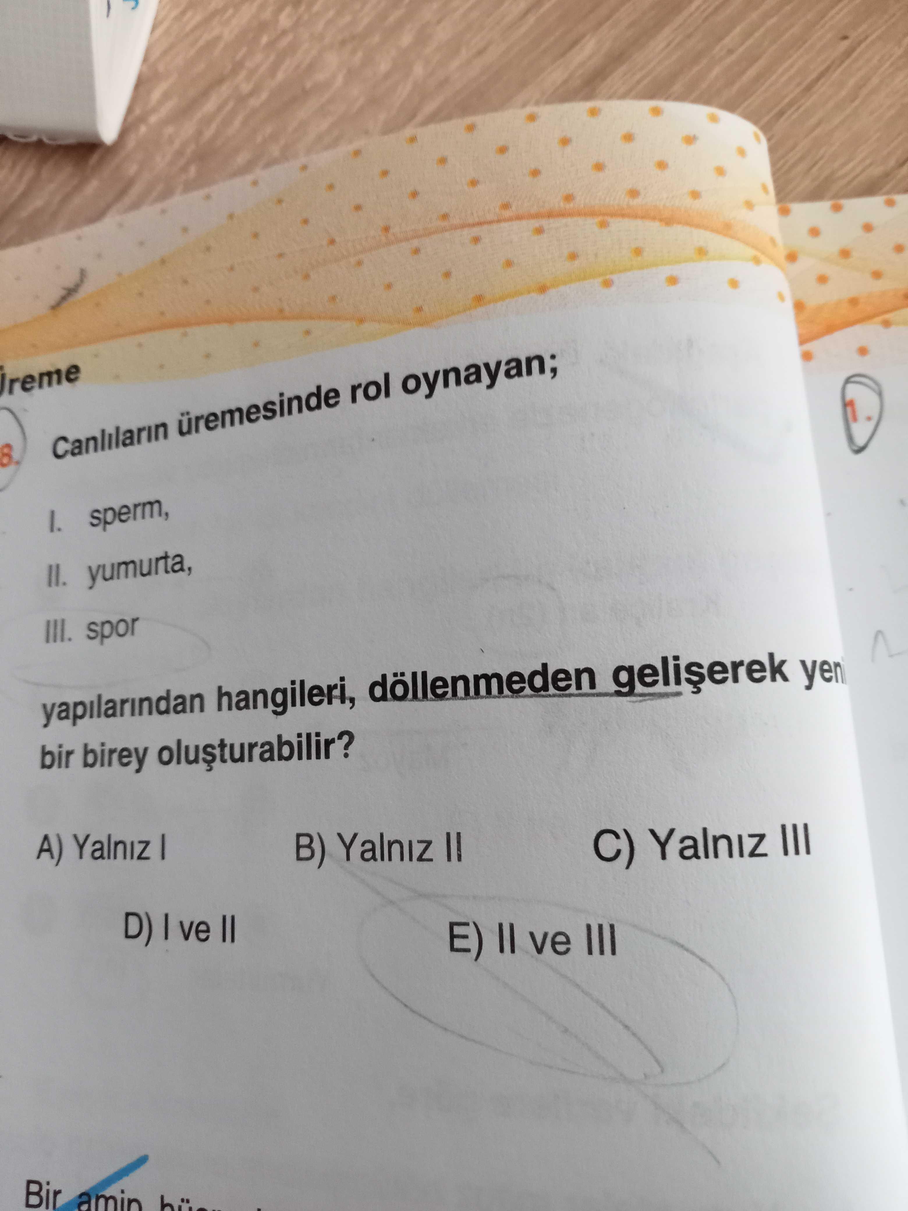 Biyoloji (12. Sınıf)