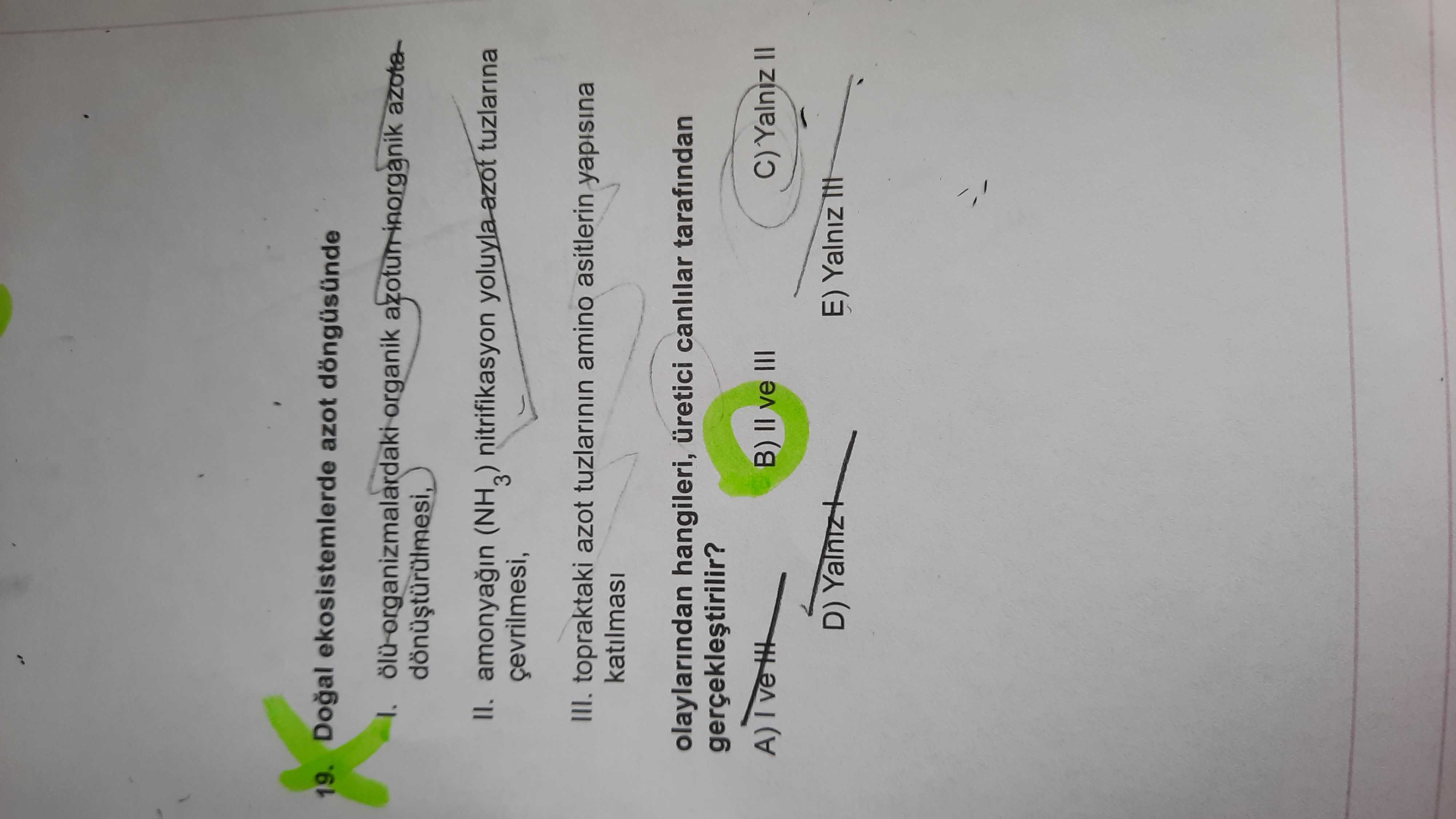 Doğal ekosistemlerde azot döngüsünde I. Ölü organizmalardaki organik azotun inorganik azota dönüştürülmesi, II. amonyağın (NH₃)