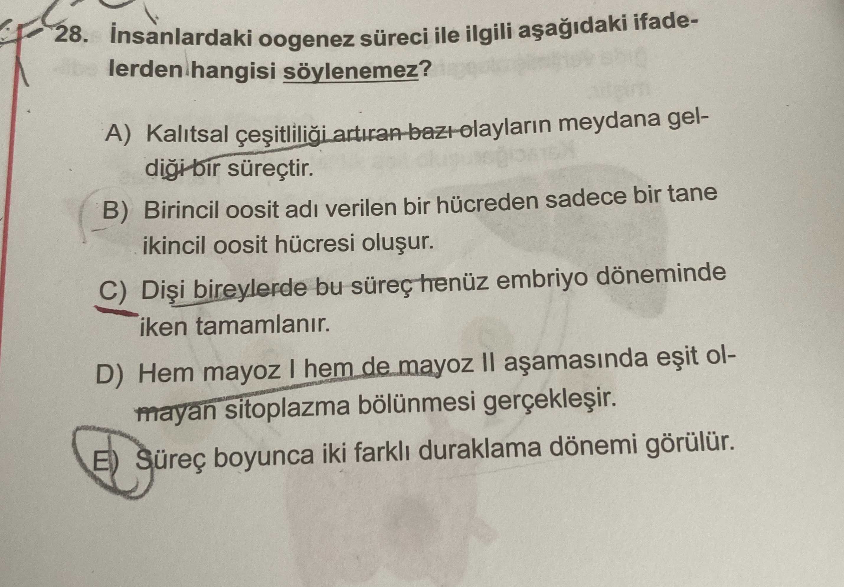 İnsanlardaki oogenez süreci ile ilgili aşağıdaki ifadelerden hangisi söylenemez?