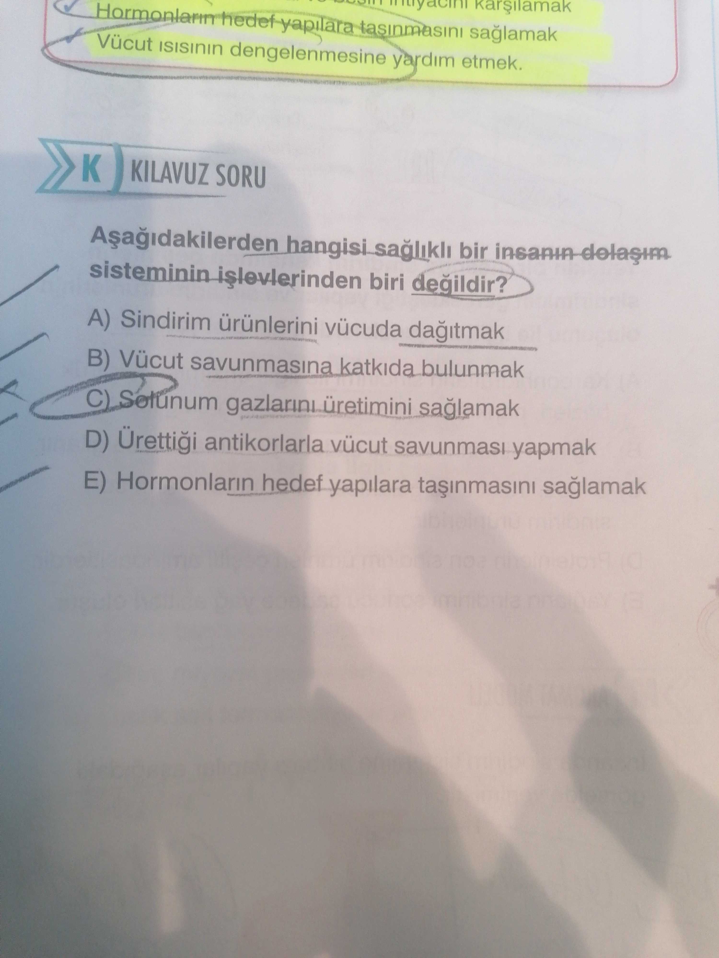 Aşağıdakilerden hangisi sağlıklı bir insanın dolaşım sisteminin işlevlerinden biri değildir?
