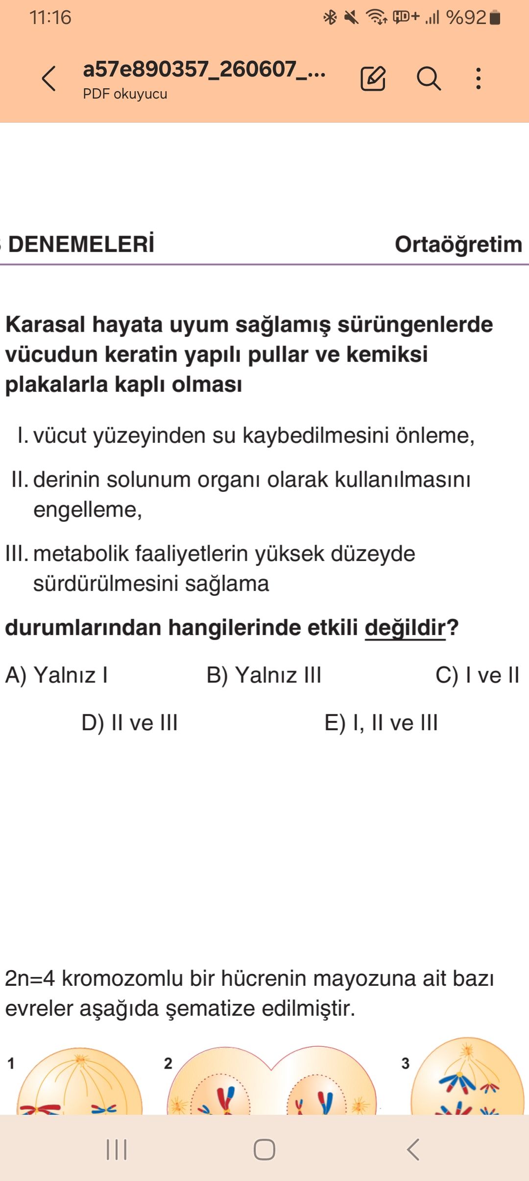 Karasal hayata uyum sağlamış sürüngenlerde vücudun keratin yapılı pullar ve kemiksi plakalarla kaplı
