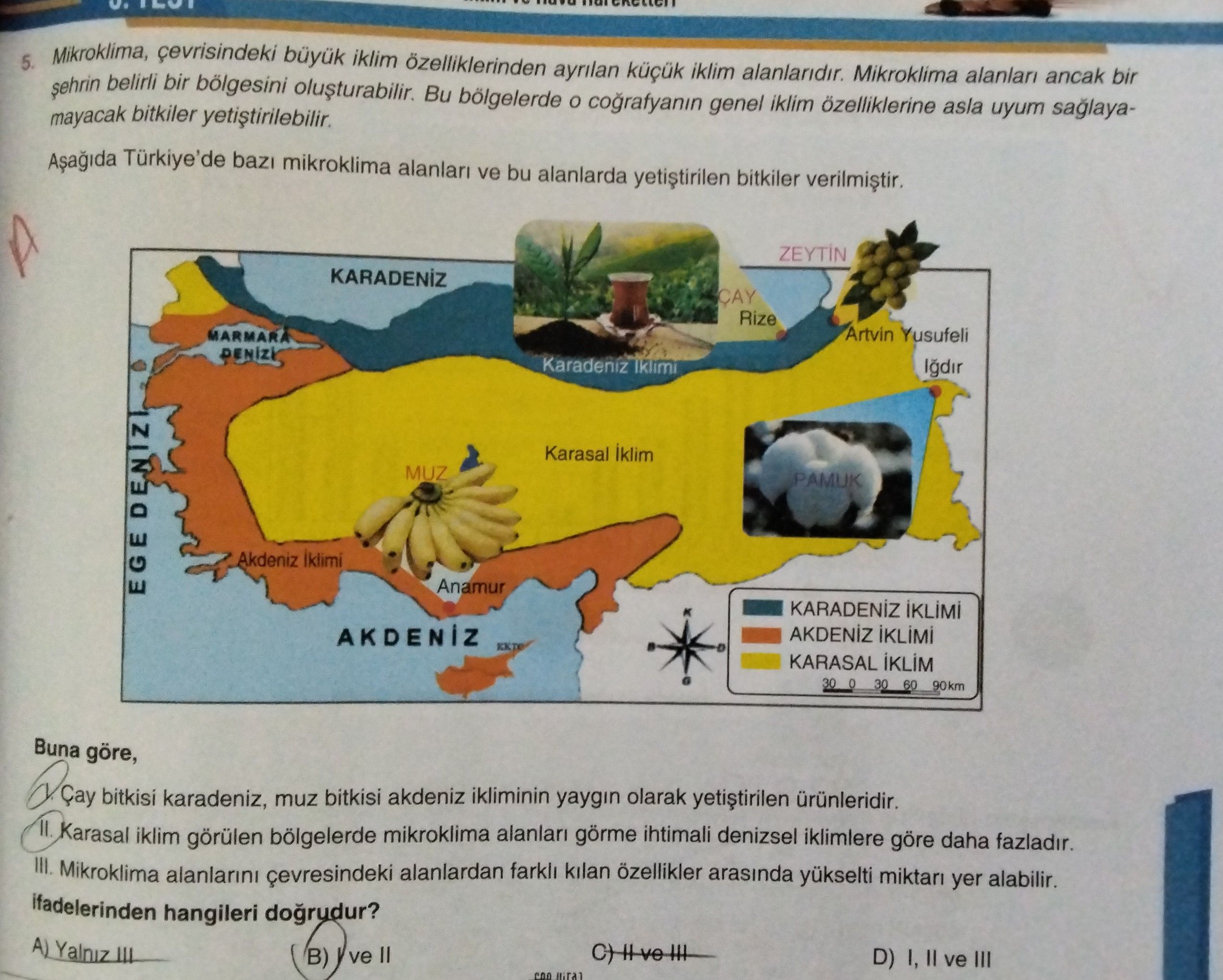 Mikroklima, çevrisindeki büyük iklim özelliklerinden ayrılan küçük iklim alanlarıdır. Mikroklima