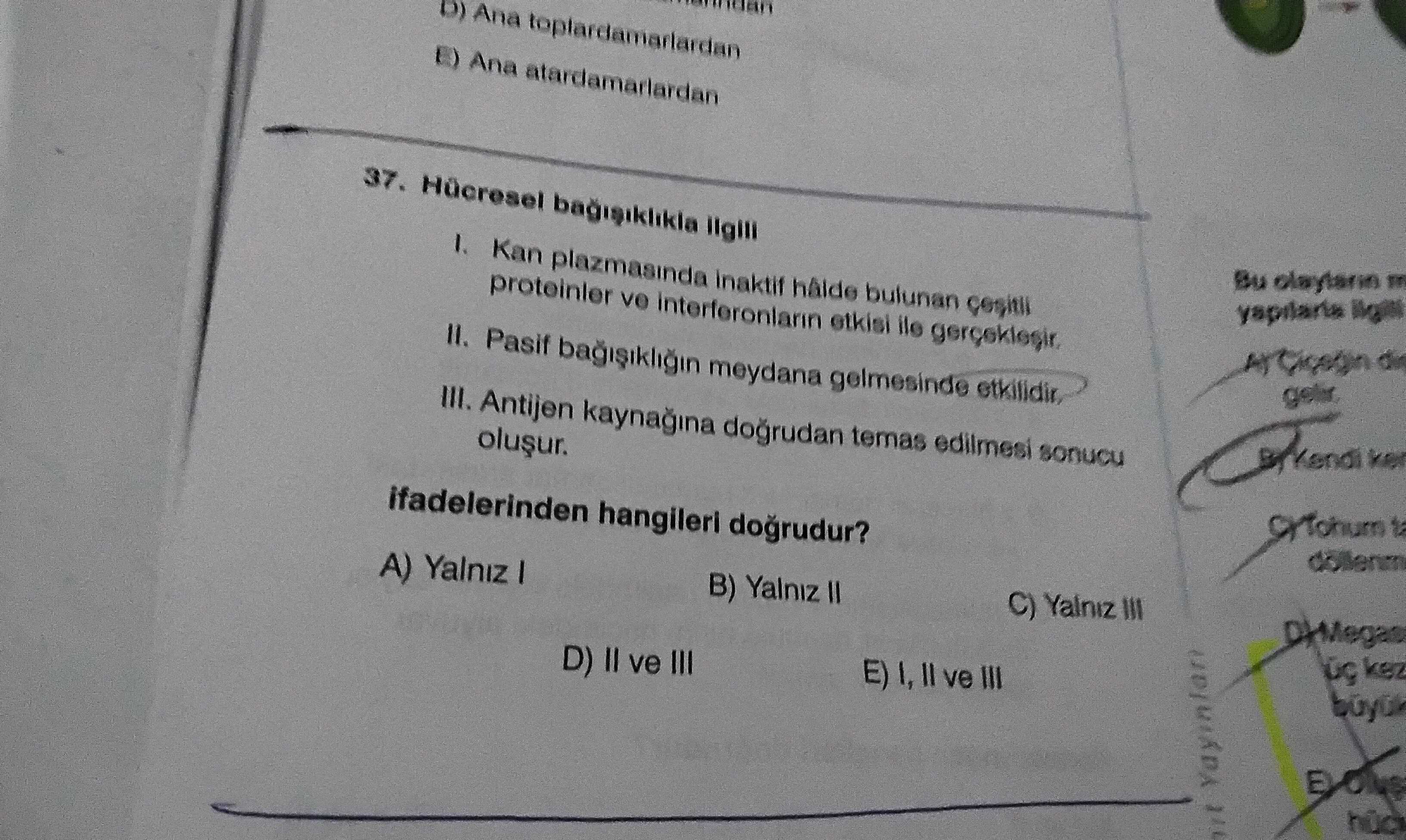 Hücresel bağışıklıkla ilgili I. Kan plazmasında inaktif hâlde bulunan çeşitli proteinler ve