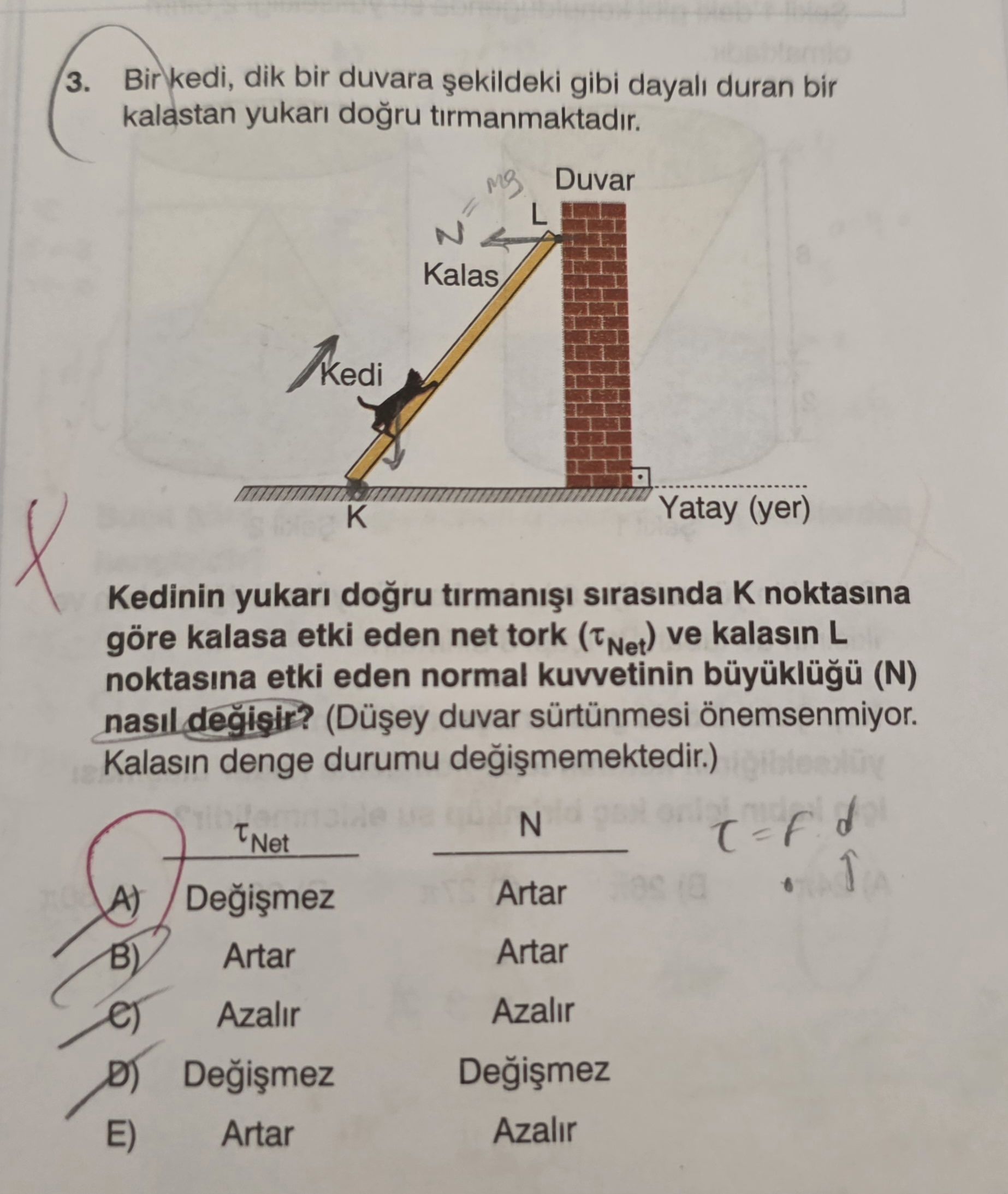 Bir kedi, dik bir duvara şekildeki gibi dayalı duran bir kalastan yukarı doğru tırmanmaktadır