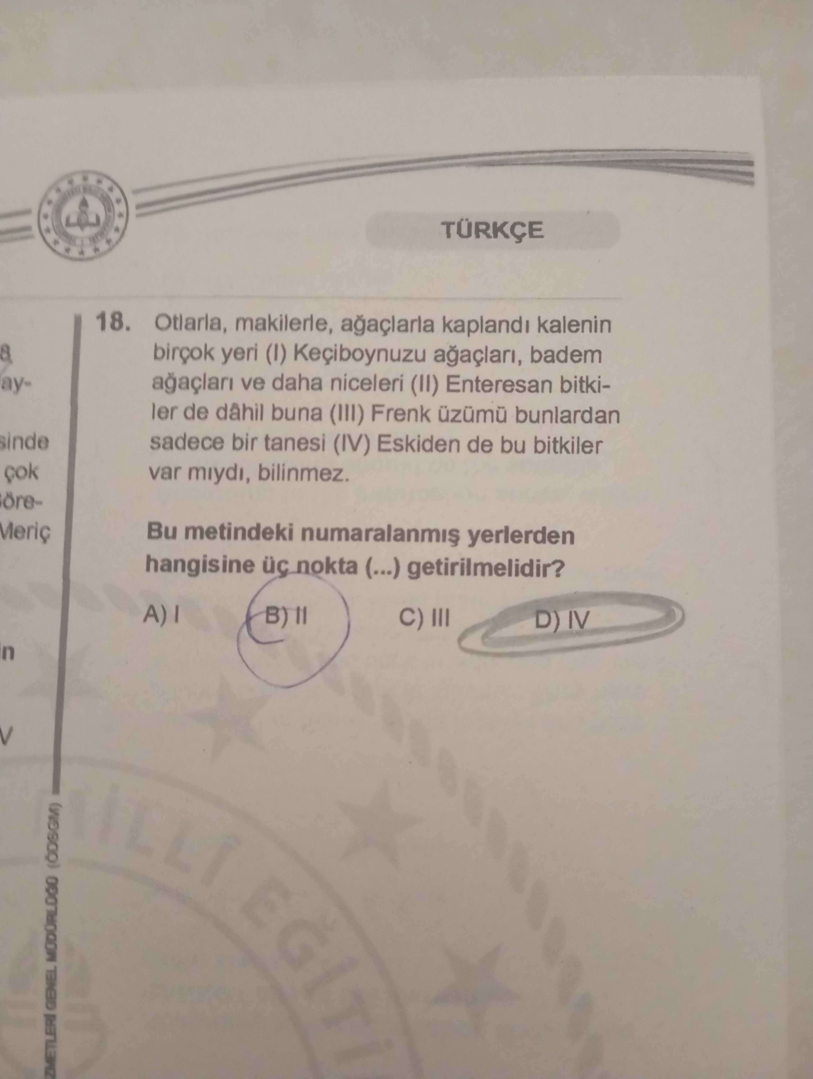 Otlarla, makilerle, ağaçlarla kaplandı kalenin birçok yeri (I) Keçiboynuzu ağaçları, badem ağaçları