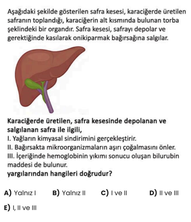 Gösterilen safra kesesi, karacigerde üretilen safranin toplandigi, karacigerin alt kisminda bulunan torba bir organdir. Safra kesesi, safrayi depolar ve gerektiginde kasilarak onikiparmak bagirsagina salgilar. Karacigerde üretilen, safra kesesinde depolanan ve salgilanan safra ile ilgili, I. Yaglarin kimyasal sindirimini II. Bagirsakta mikroorganizmalarin önler. III. içeriginde hemoglobinin yikimi sonucu bilurubin maddesi de bulunur. yargilarindan hangileri dogrudur. Yalniz в) Yalniz c) D) ve III E) I, ve III gösterilen safra kesesi, karacigerde üretilen safranin toplandigi, karacigerin alt kisminda bulunan torba bir organdir. Yalniz в) Yalniz c) D) ve III E) I, ve III. ?? Model.Question.title