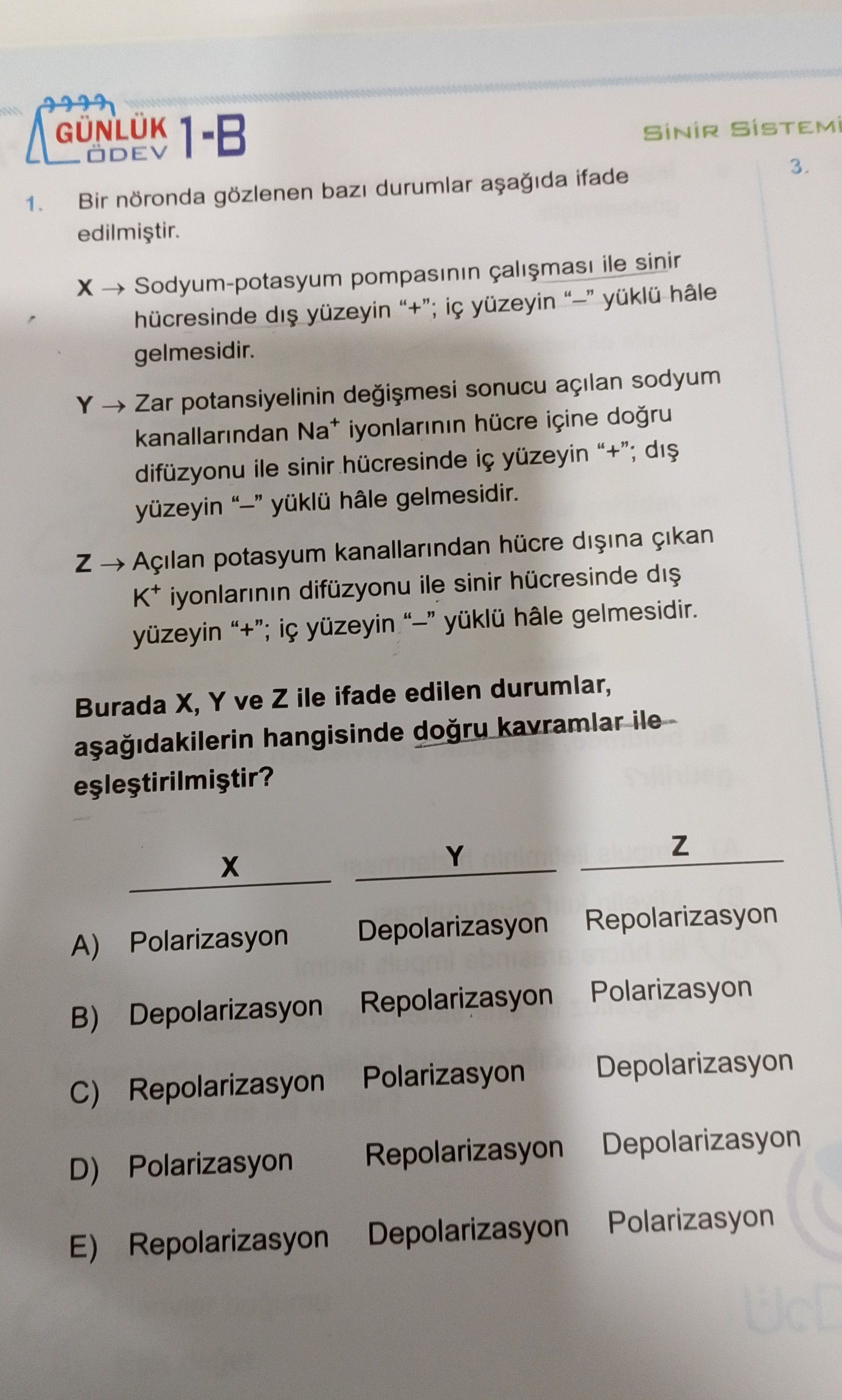 Bir nöronda gözlenen bazı durumlar aşağıda ifade edilmiştir. X → Sodyum-potasyum pompasının