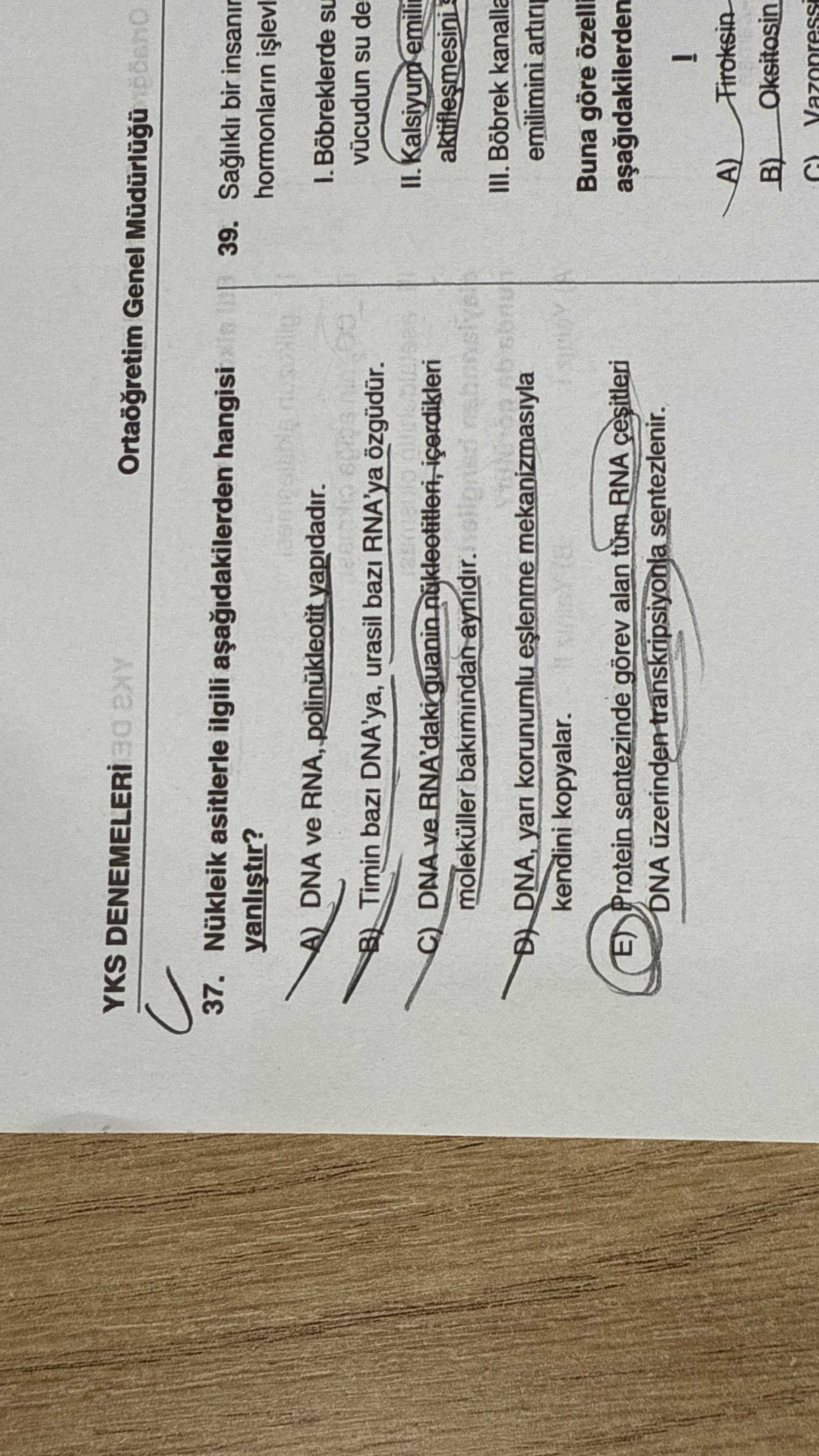 Nükleik asitlerle ilgili aşağıdakilerden hangisi yanlıştır?
