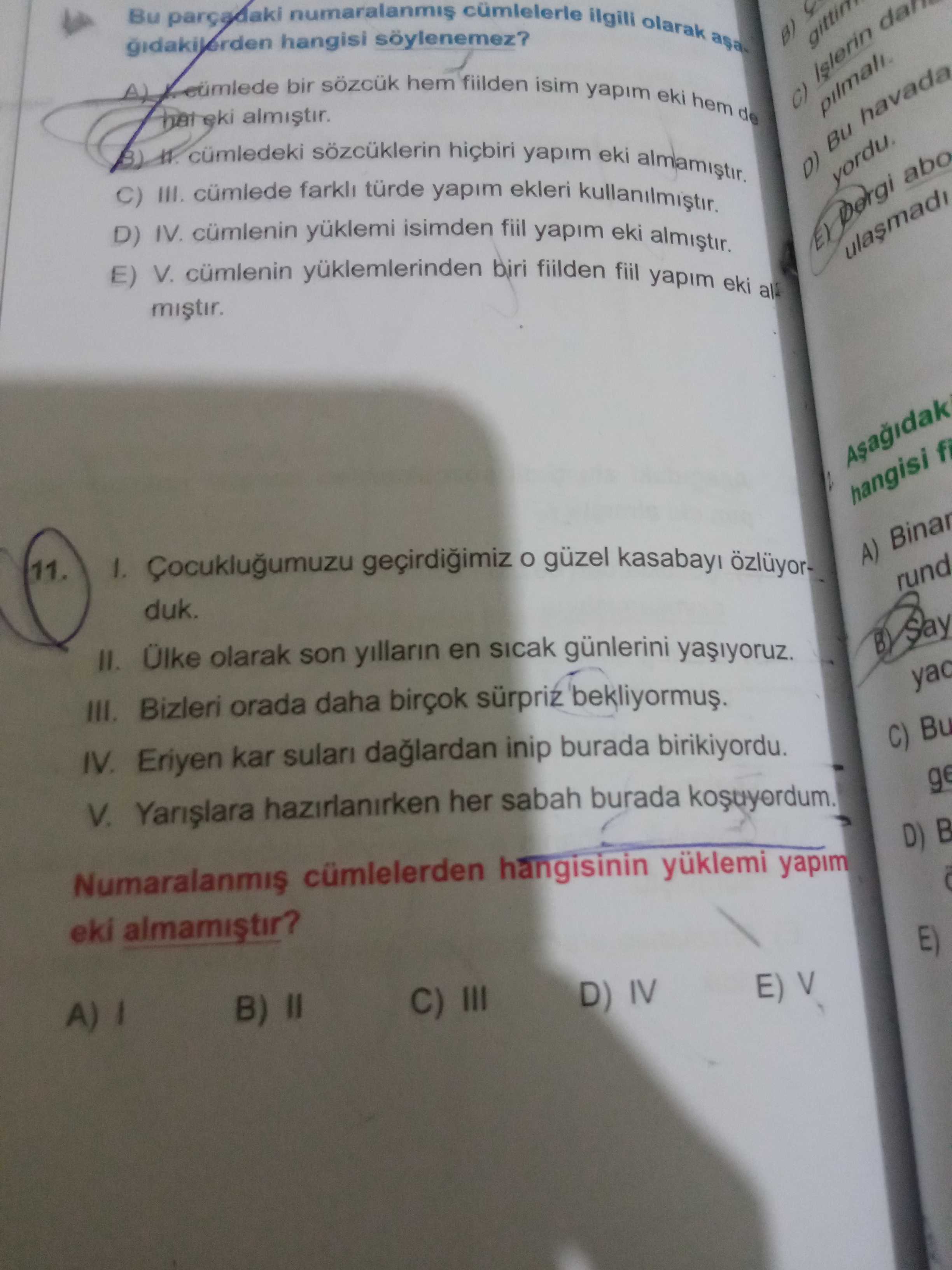 Türkçe (Mezun)