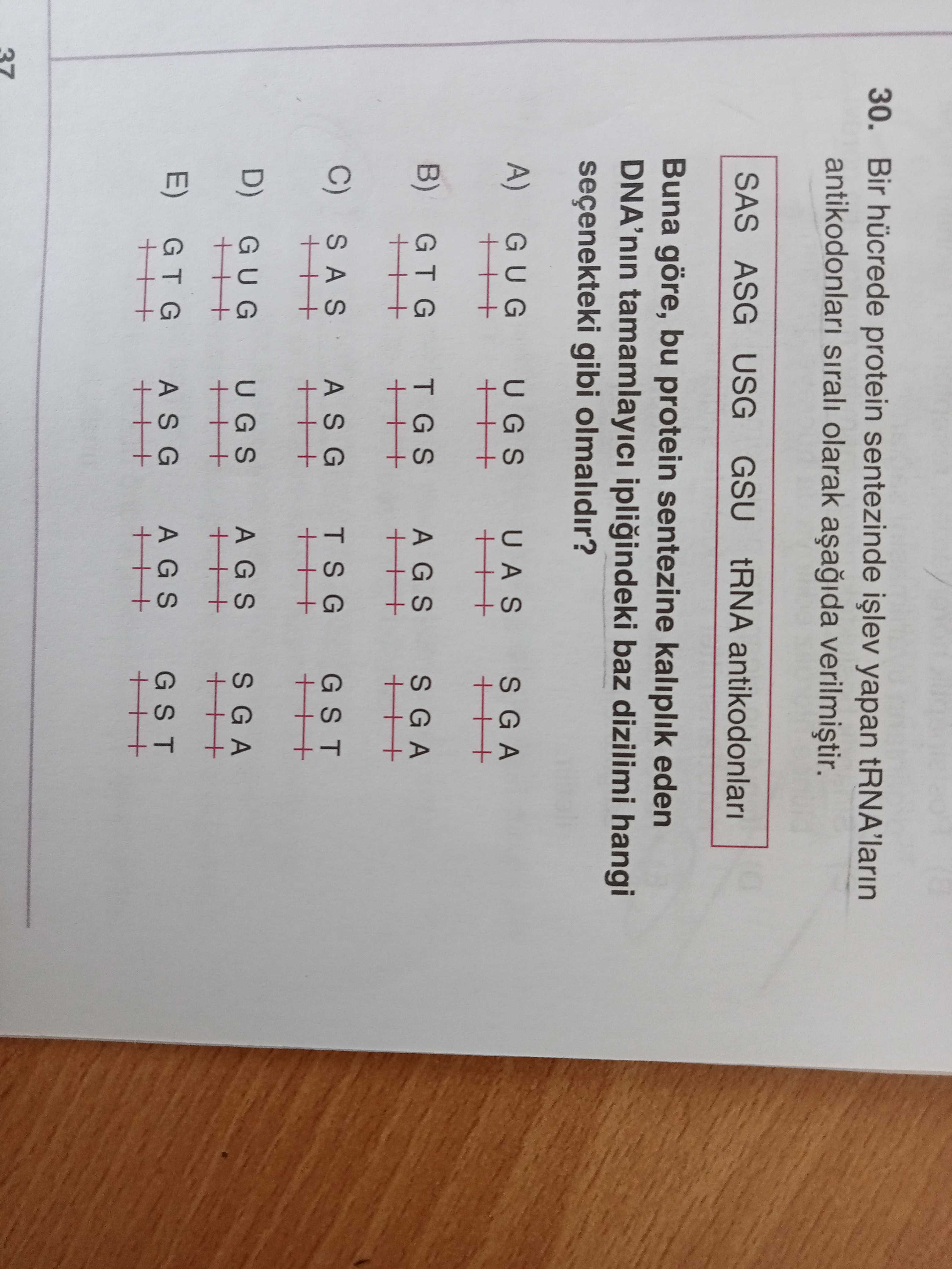 Bir hücrede protein sentezinde işlev yapan tRNA'ların antikodonları sıralı olarak aşağıda