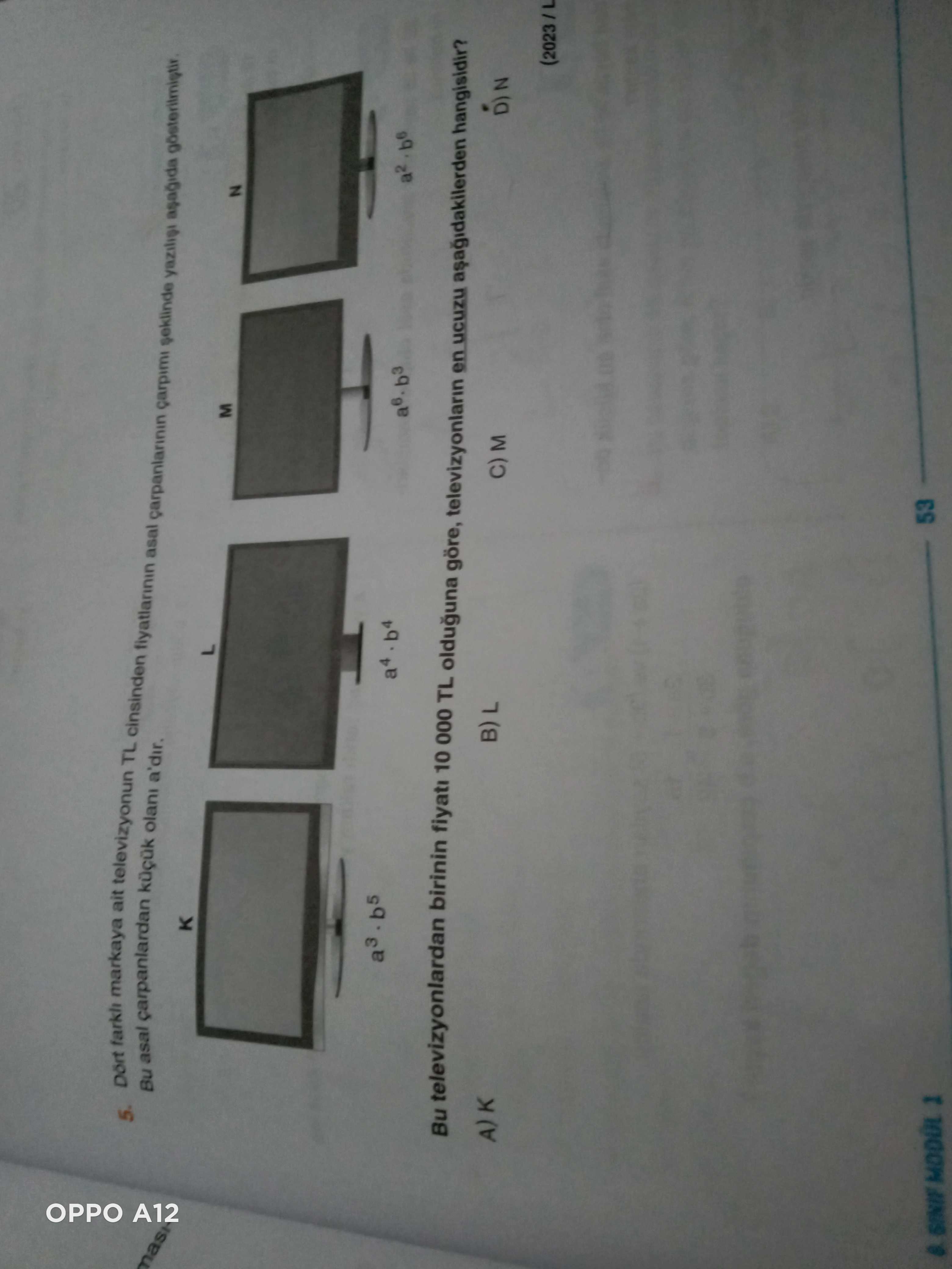 Matematik (8. Sınıf)