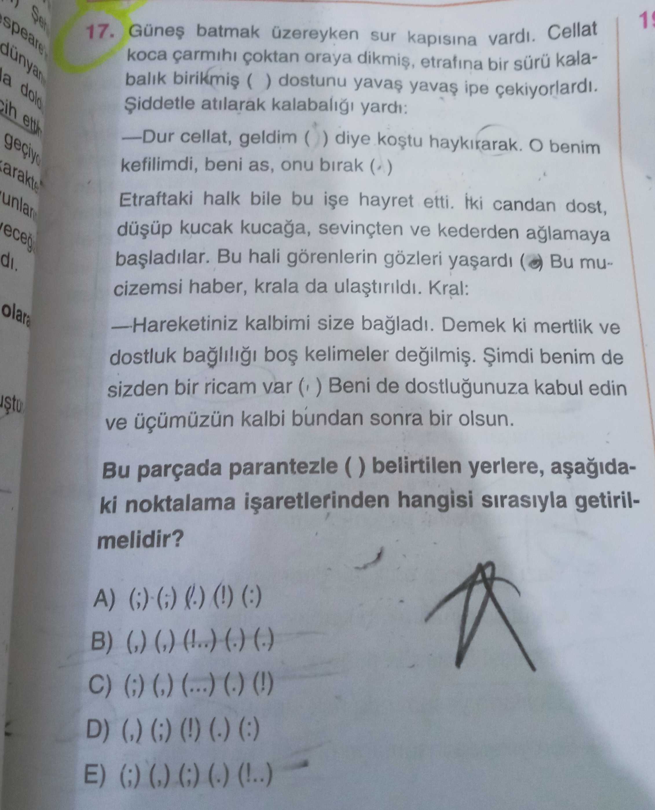 Türkçe (Mezun)
