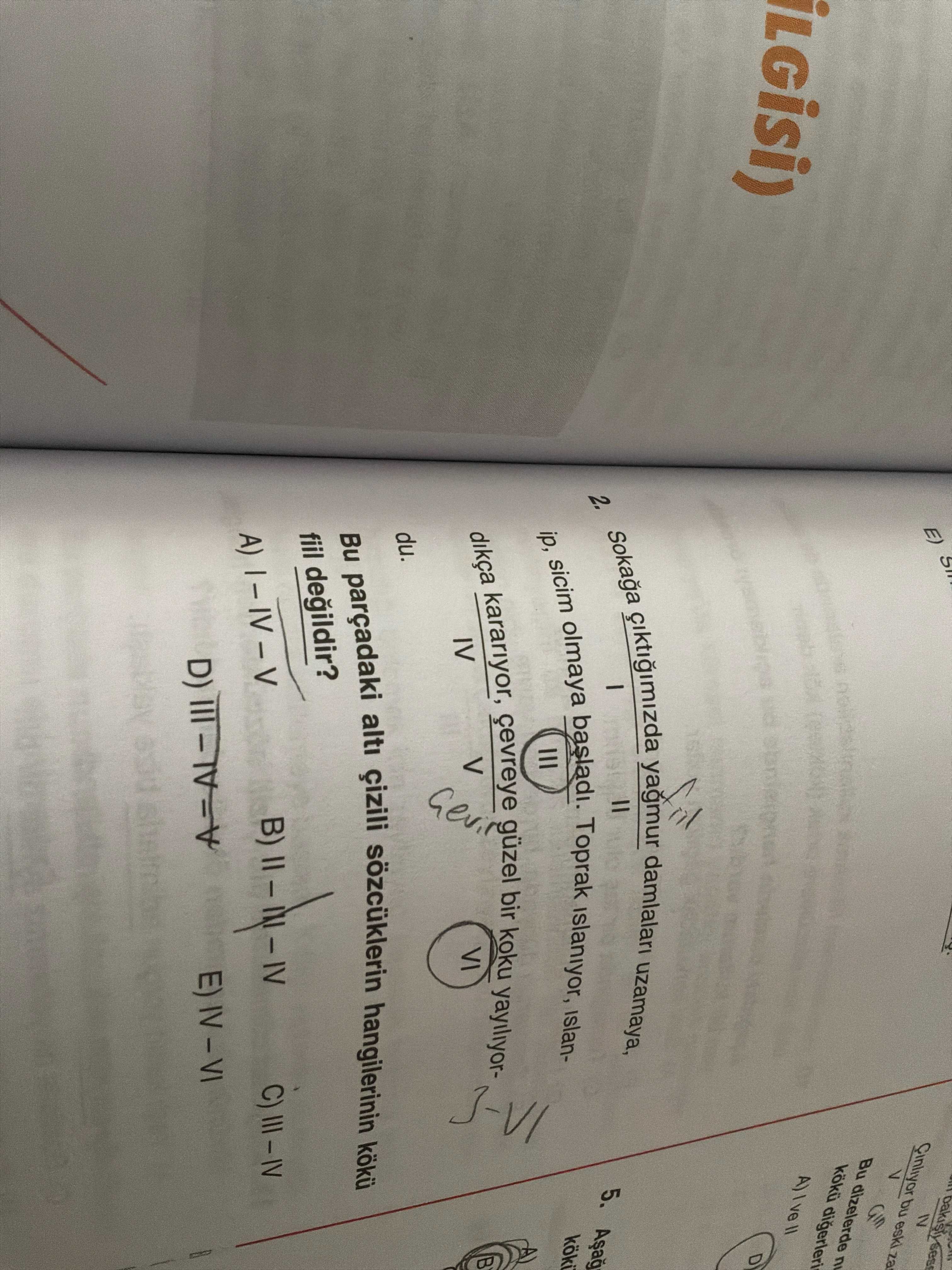 Sokağa çıktığımızda yağmur damlaları uzamaya, I II ip, sicim olmaya başladı. Toprak ıslanıyor