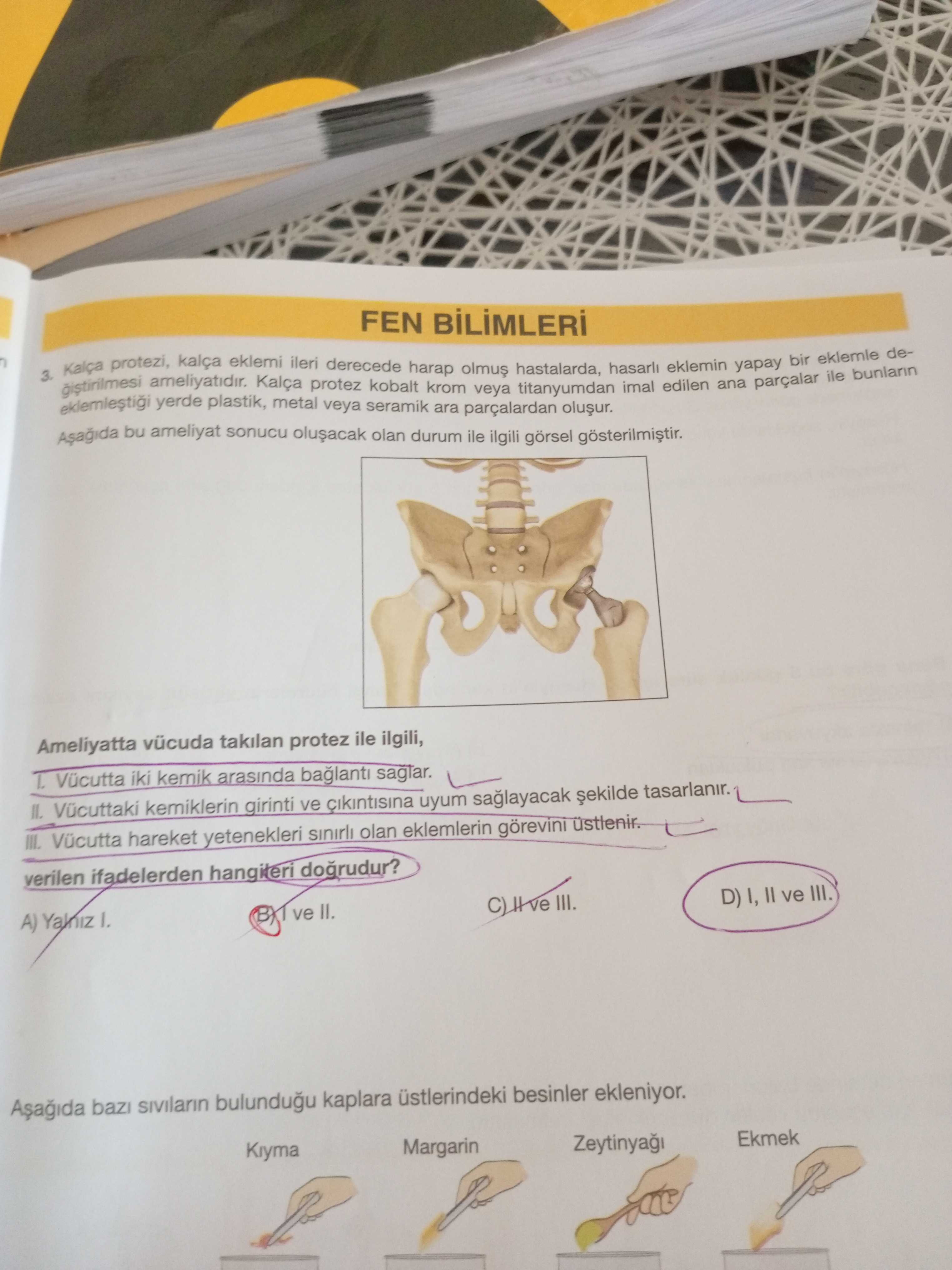 Fen Bilimleri (6. Sınıf)