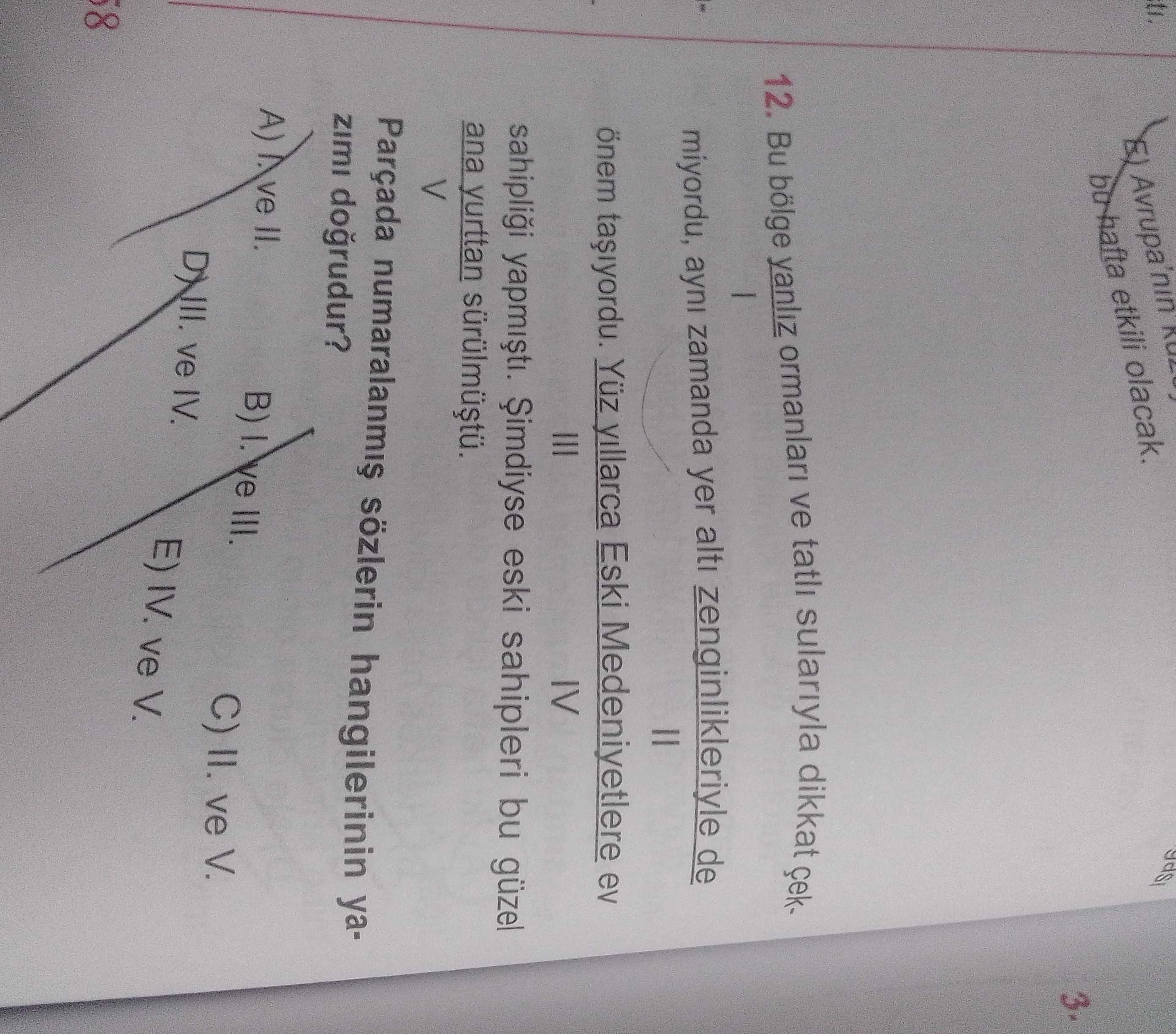 Bu bölge yalnız ormanları ve tatlı sularıyla dikkat çekmiyordu, aynı zamanda yer altı
