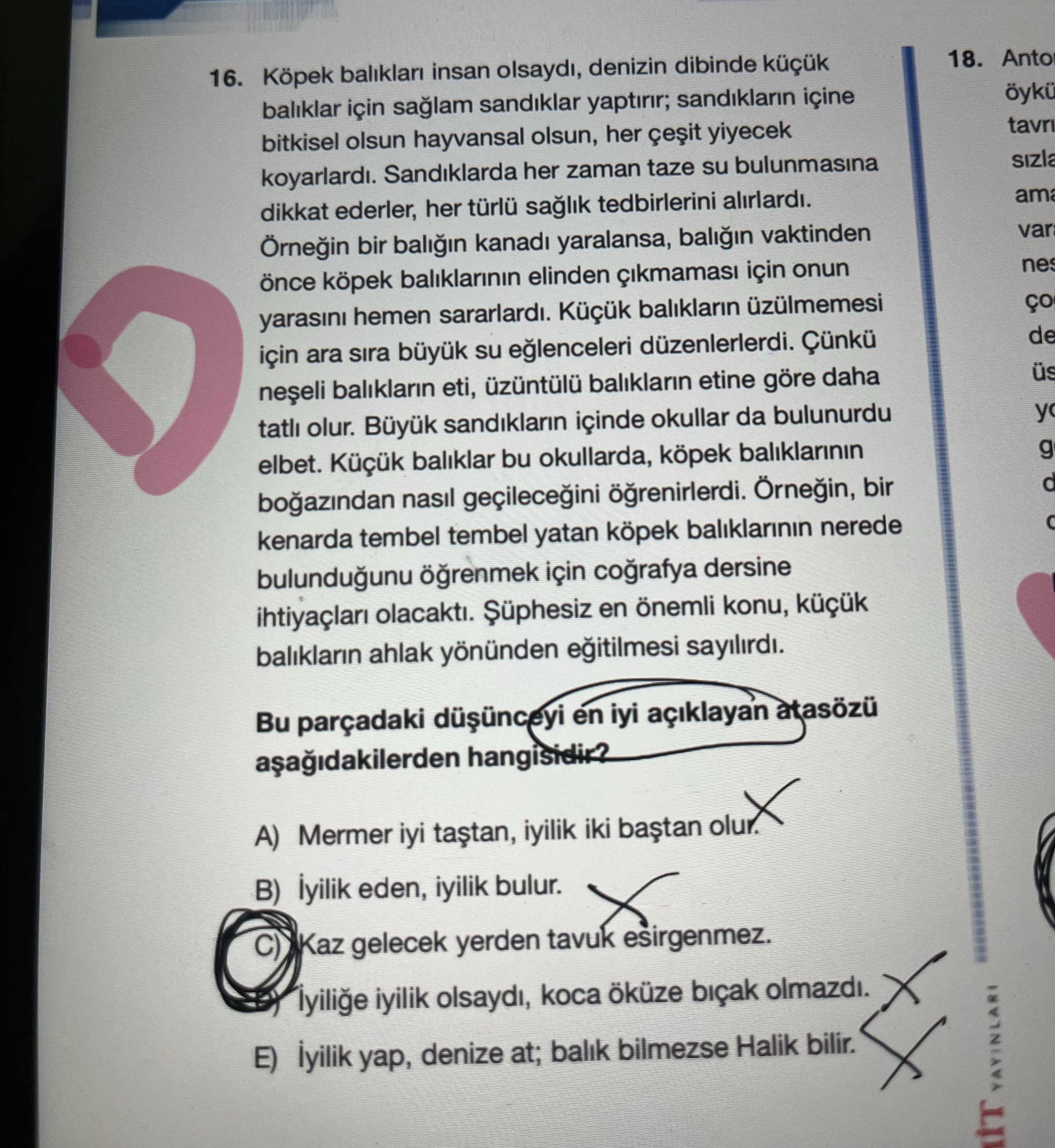 Köpek balıkları insan olsaydı, denizin dibinde küçük balıklar için sağlam sandıklar yaptırır