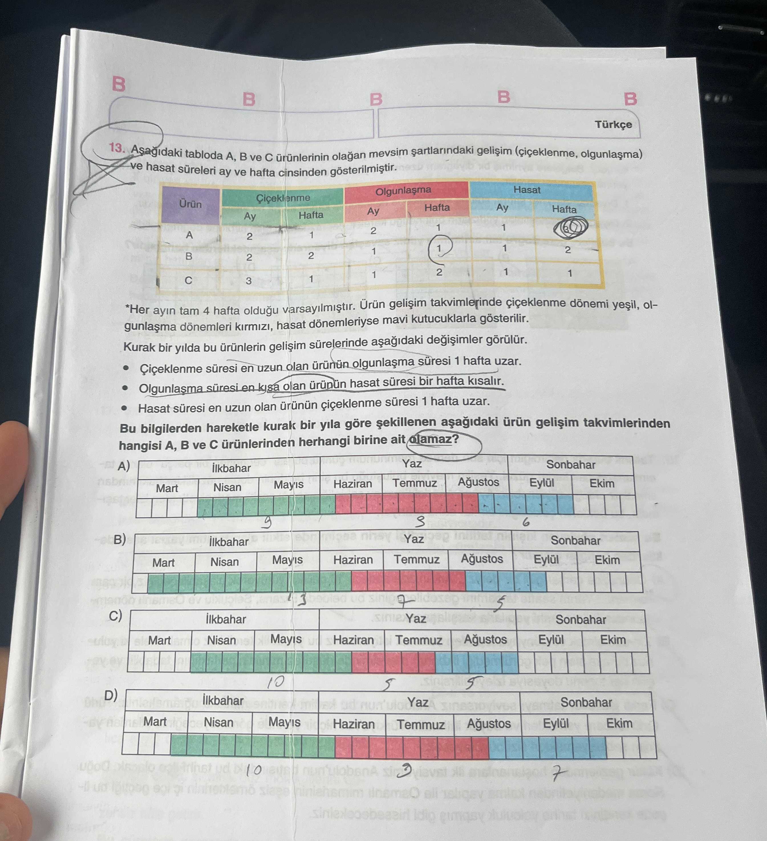 Aşağıdaki tabloda A, B ve C ürünlerinin olağan mevsim şartlarındaki gelişim (çiçeklenme, olgunlaşma)
