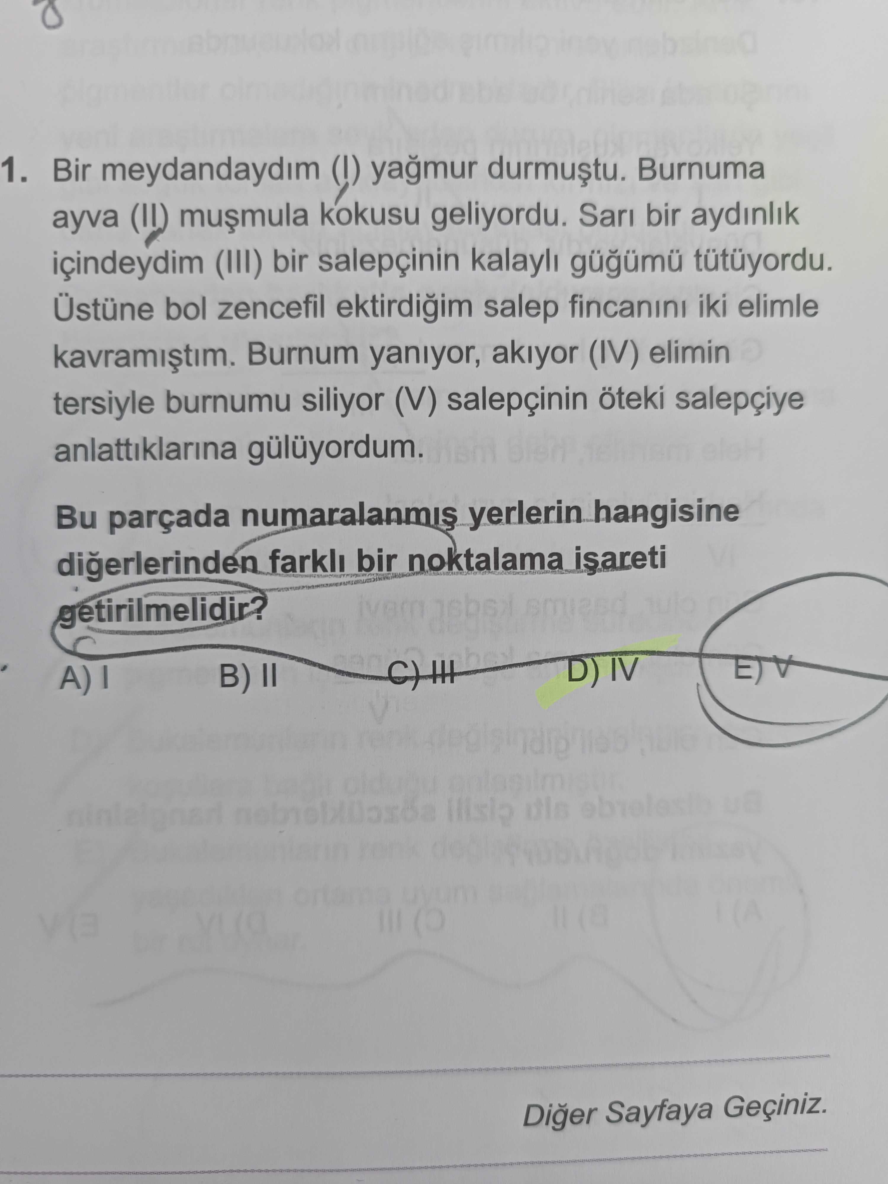 Bir meydandaydım (I) yağmur durmuştu. Burnuma ayva (II) muşmula kokusu geliyordu. Sarı bir aydınlık
