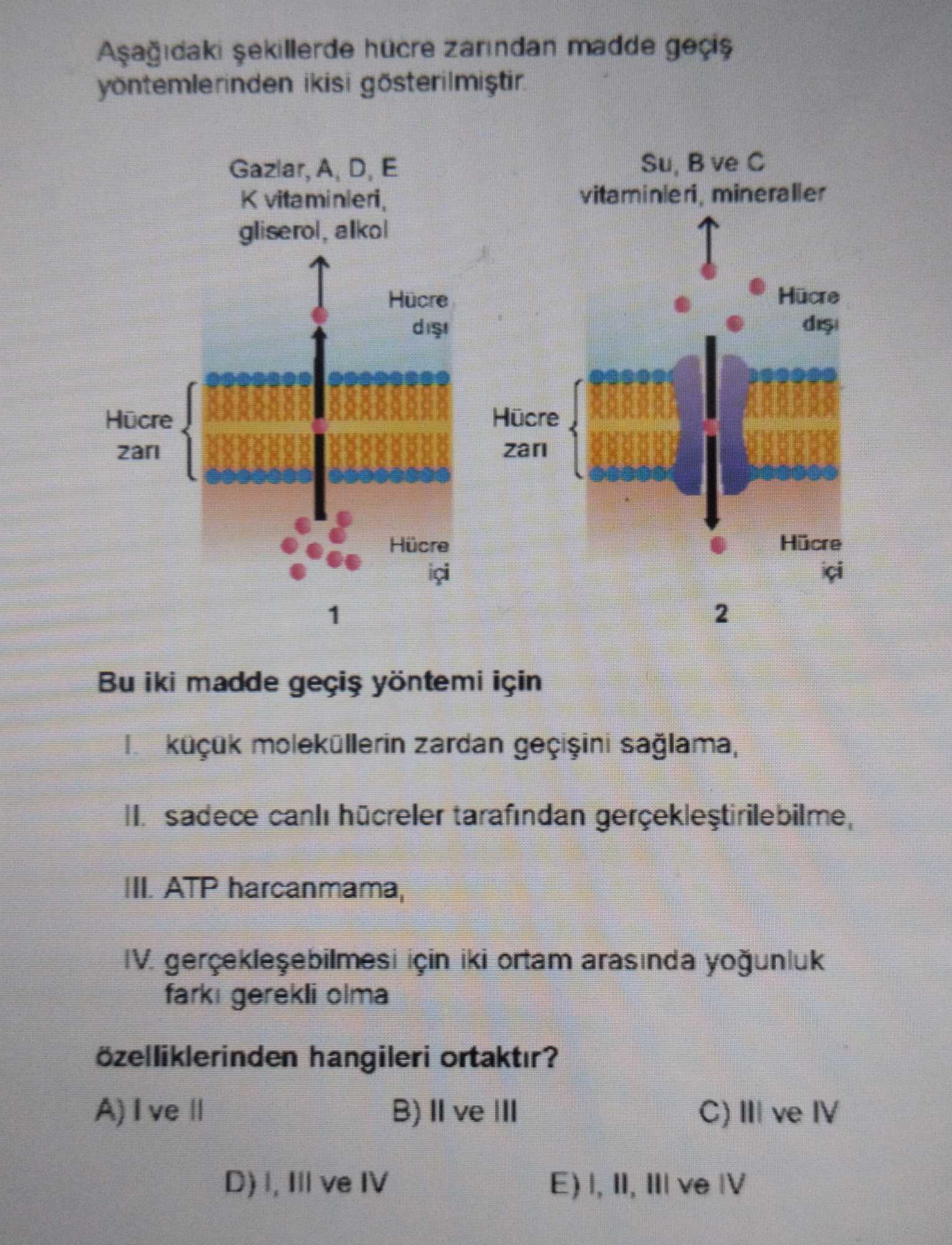 Aşağıdaki şekillerde hücre zarından madde geçiş yöntemlerinden ikisi gösterilmiştir. Bu iki madde geçiş yöntemi için I. küçük