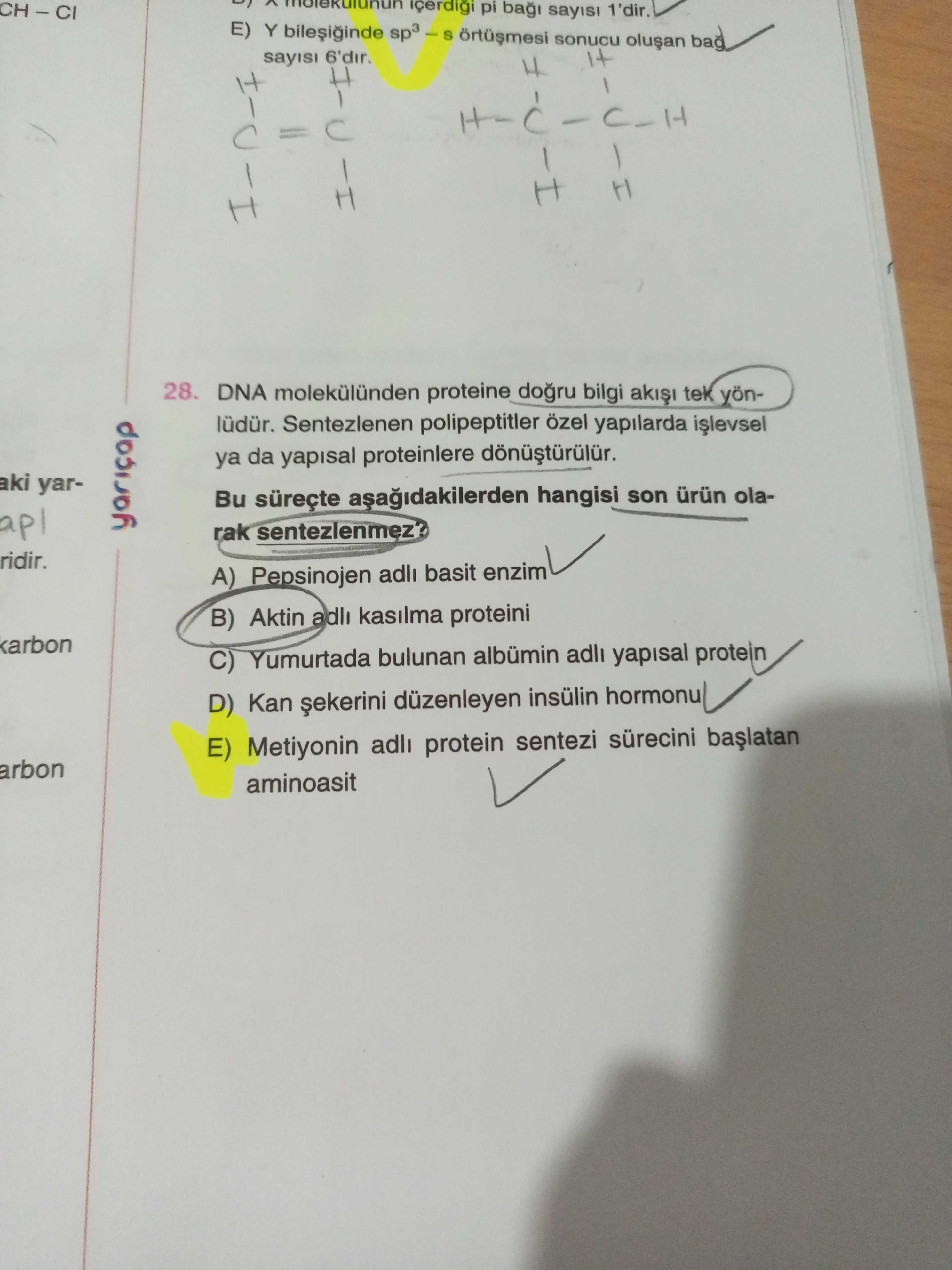 DNA molekülünden proteine doğru bilgi akışı tek yönlüdür. Sentezlenen polipeptitler özel yapılarda