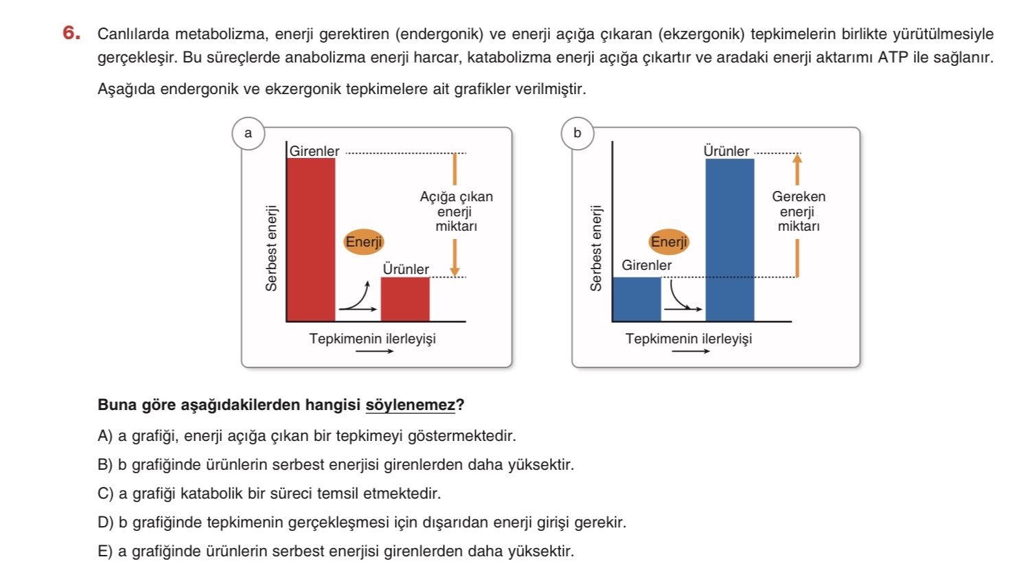 Canlılarda metabolizma, enerji gerektiren (endergonik) ve enerji açığa çıkaran (ekzergonik)