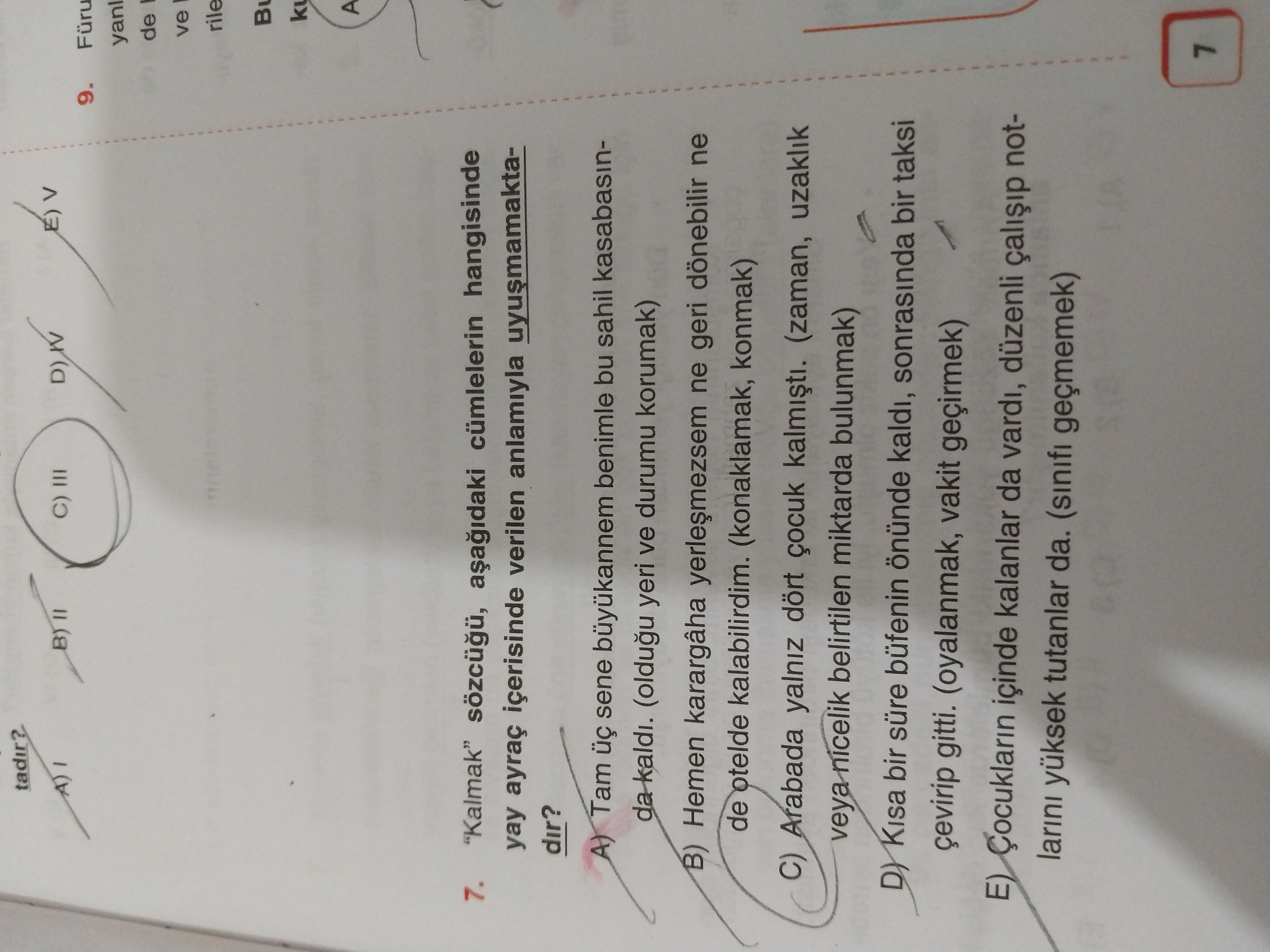 Türkçe (12. Sınıf)