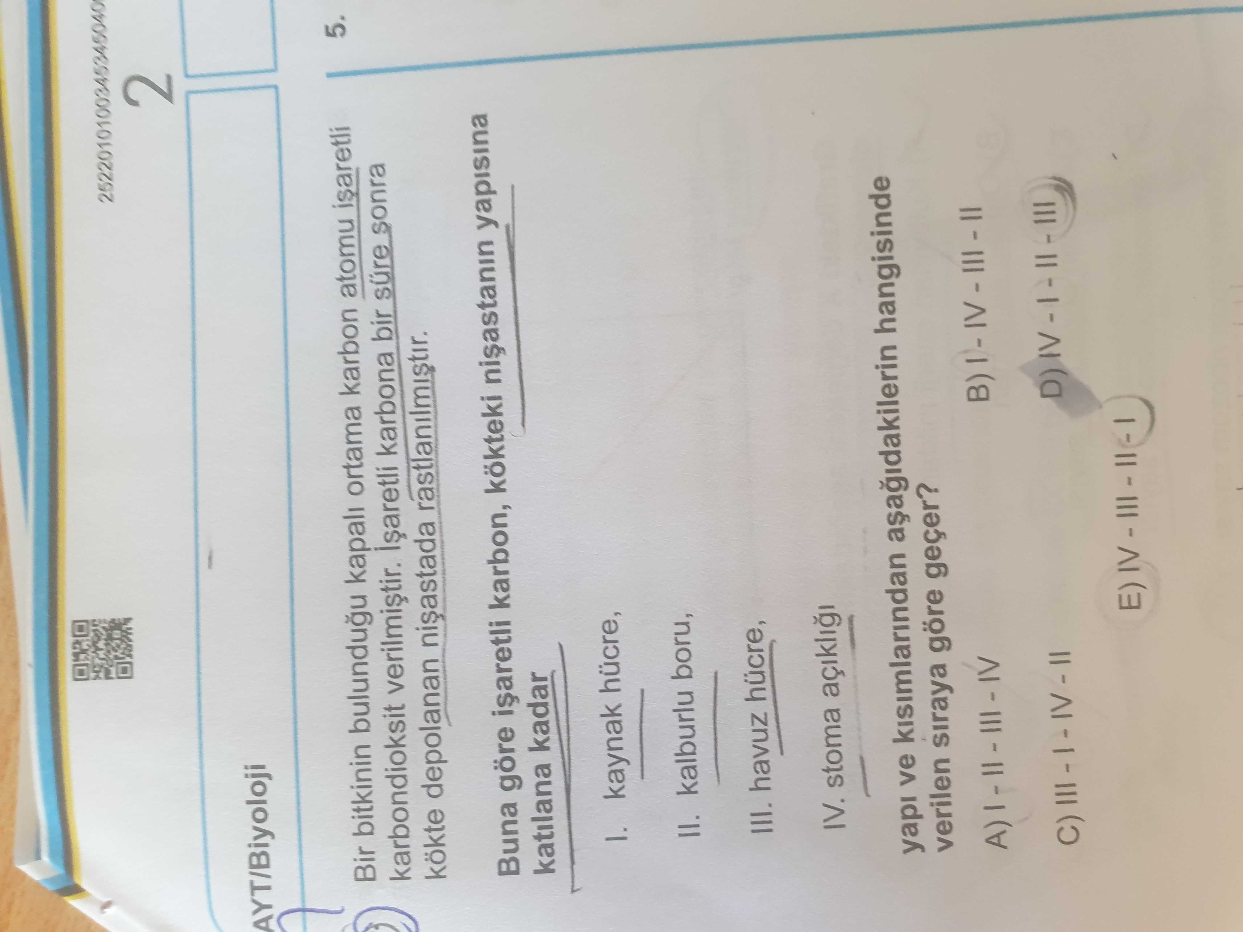 Bir bitkinin bulunduğu kapalı ortama karbon atomu işaretli karbondioksit verilmiştir. İşaretli