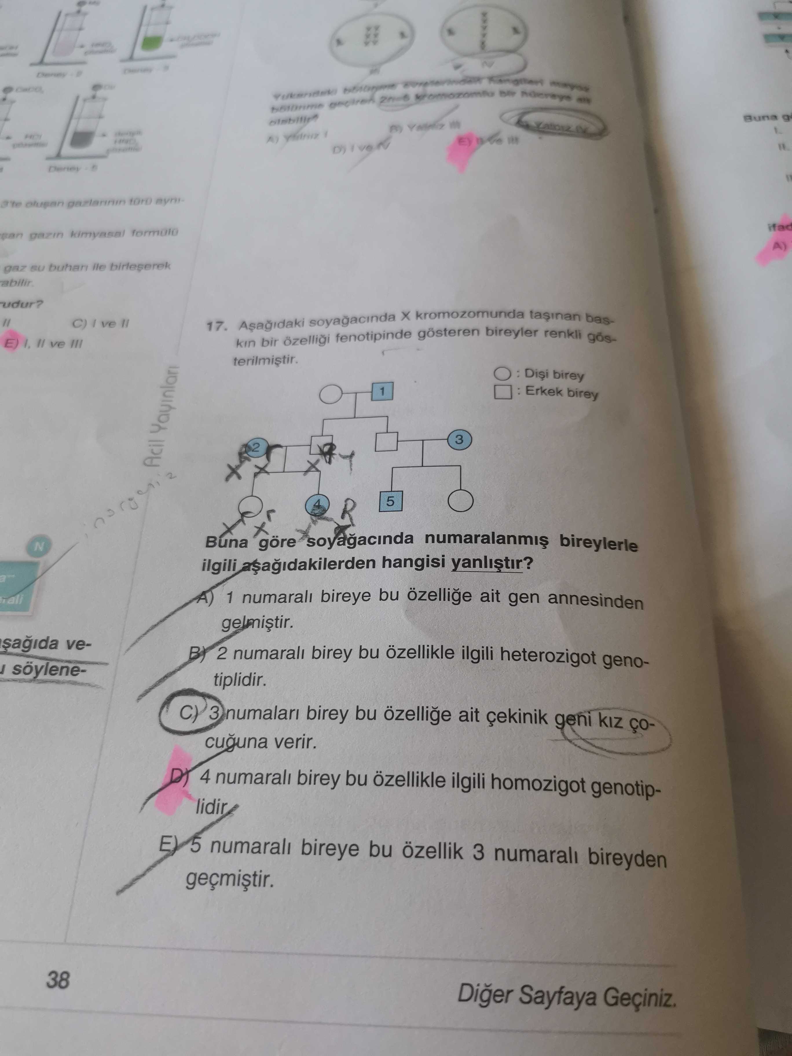 Aşağıdaki soyağacında X kromozomunda taşınan baskın bir özelliği fenotipinde gösteren bireyler