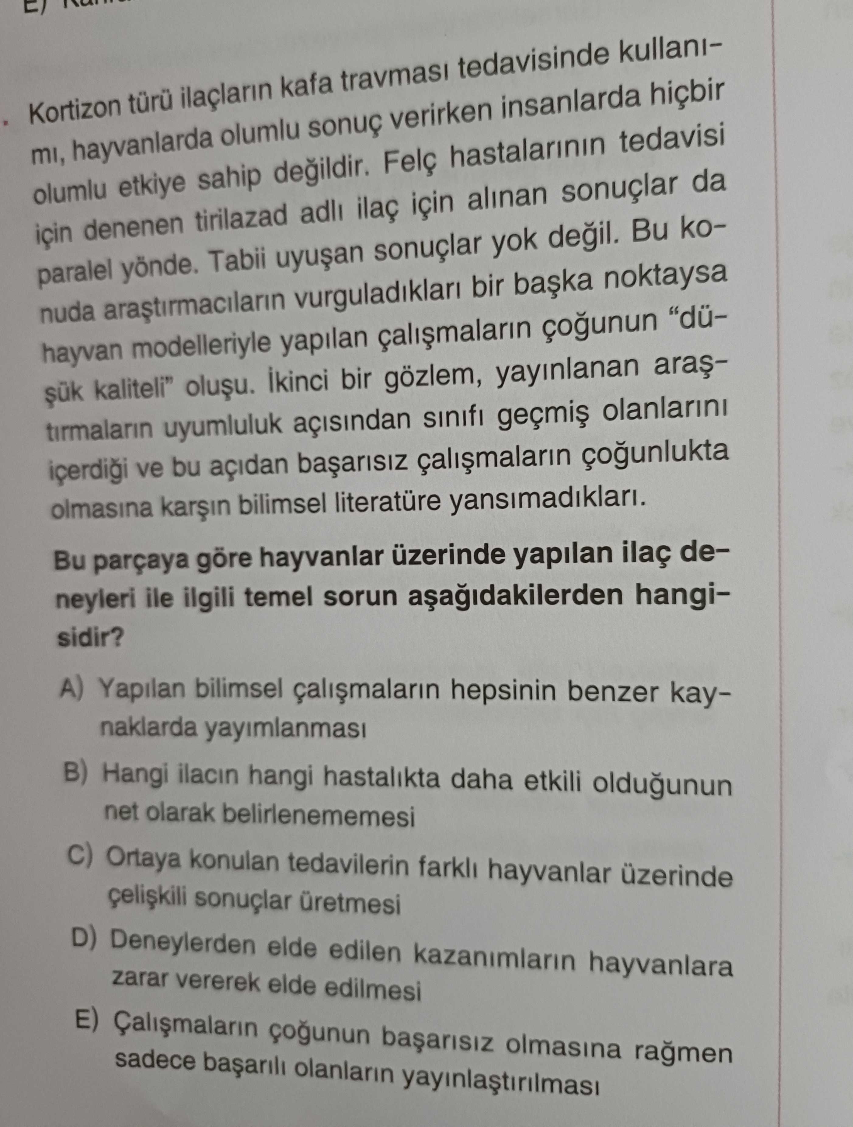 Türkçe (12. Sınıf)
