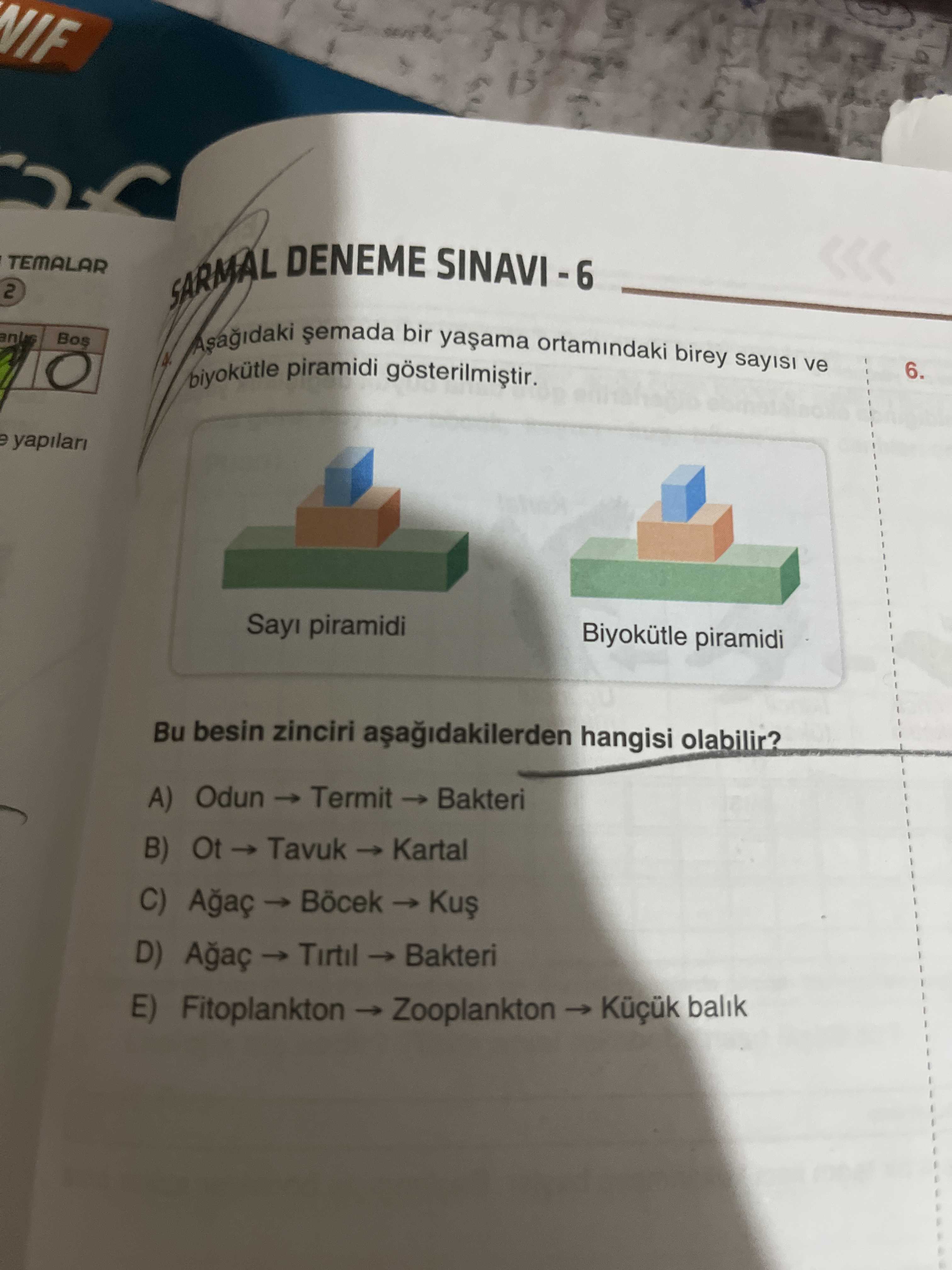Aşağıdaki şemada bir yaşama ortamındaki birey sayısı ve biyokütle piramidi gösterilmiştir. Bu besin