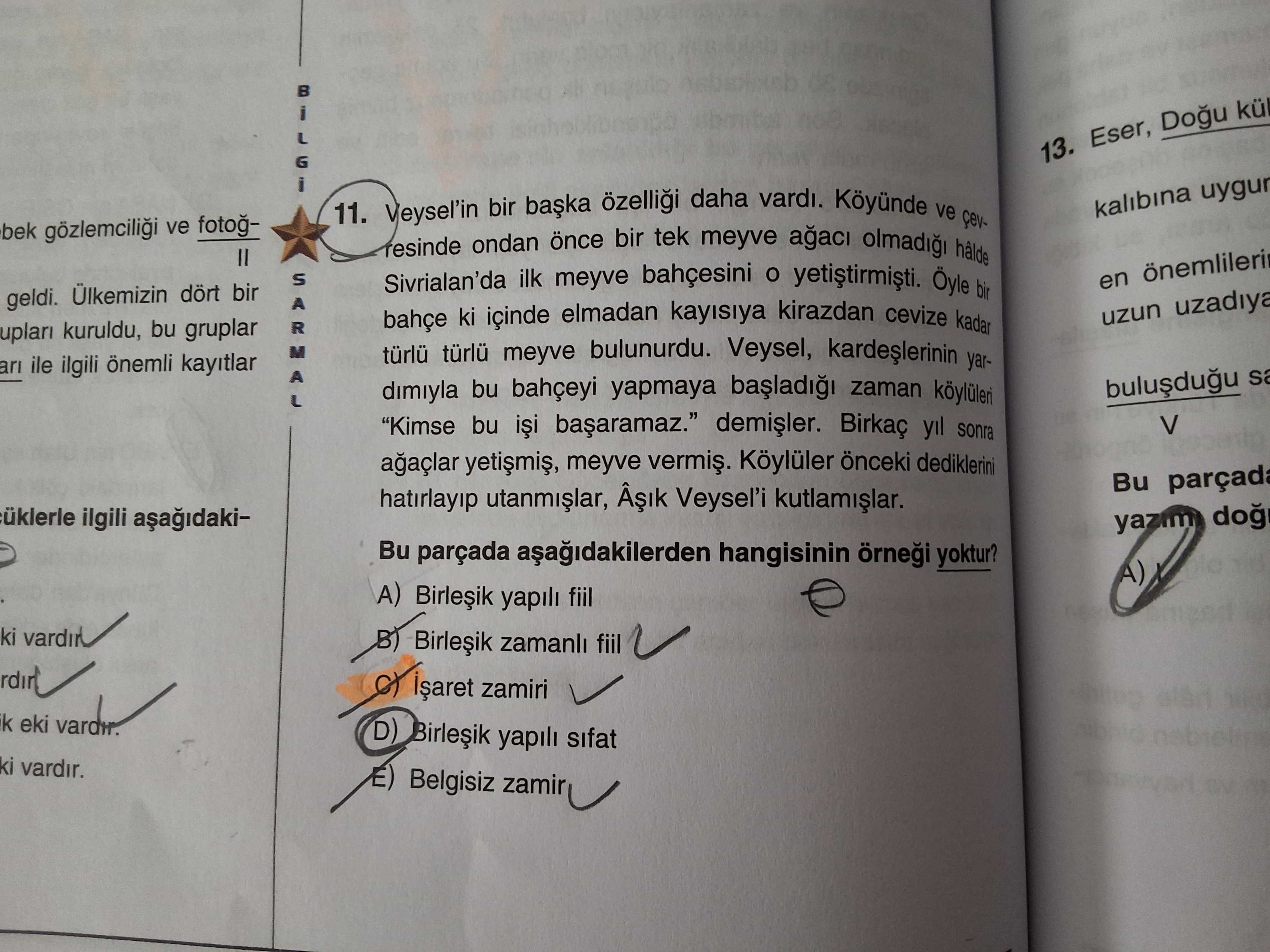 Veysel'in bir başka özelliği daha vardı. Köyünde ve çevresinde ondan önce bir tek meyve ağacı