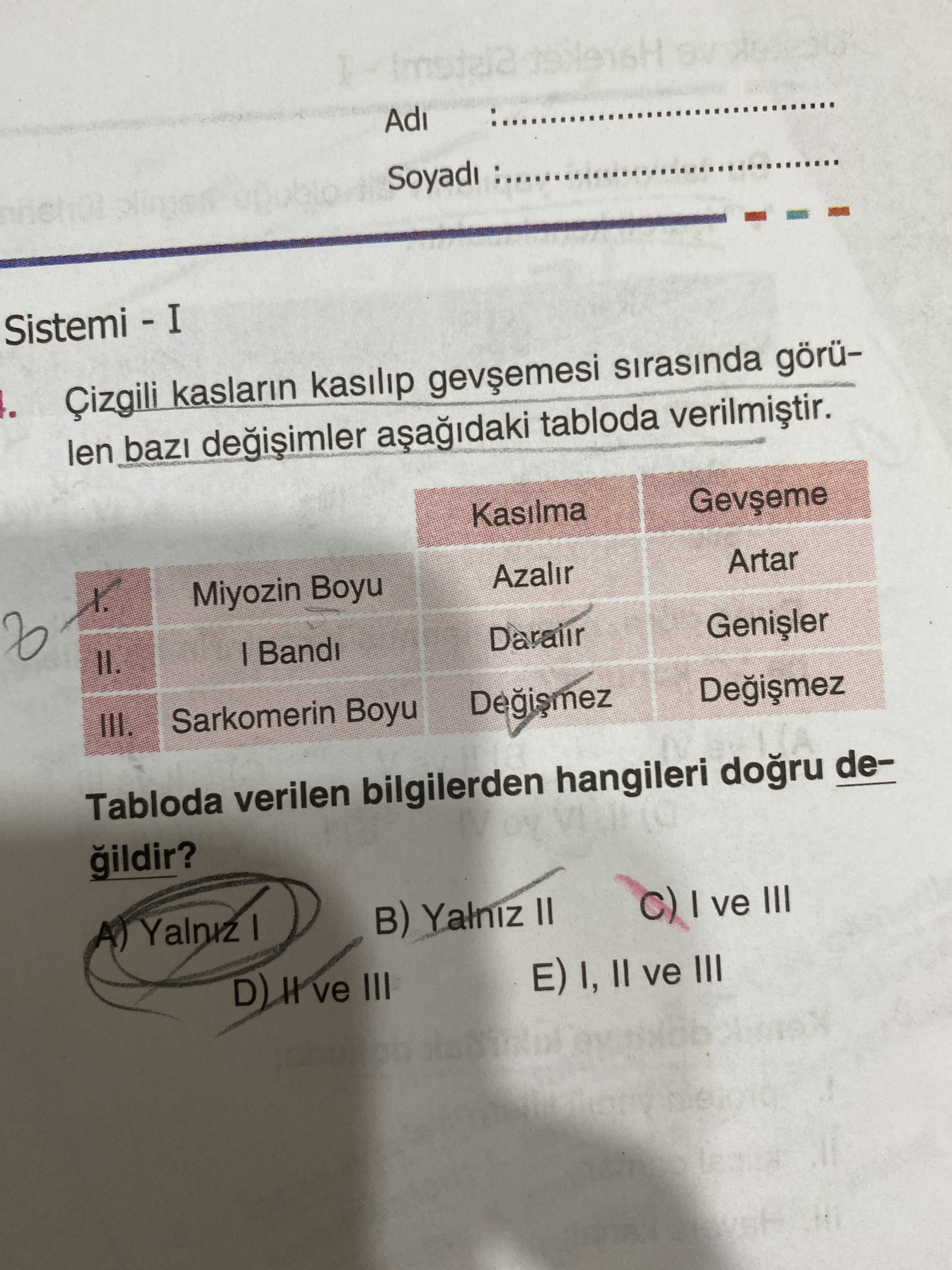 Çizgili kasların kasılıp gevşemesi sırasında görülen bazı değişimler aşağıdaki tabloda verilmiştir
