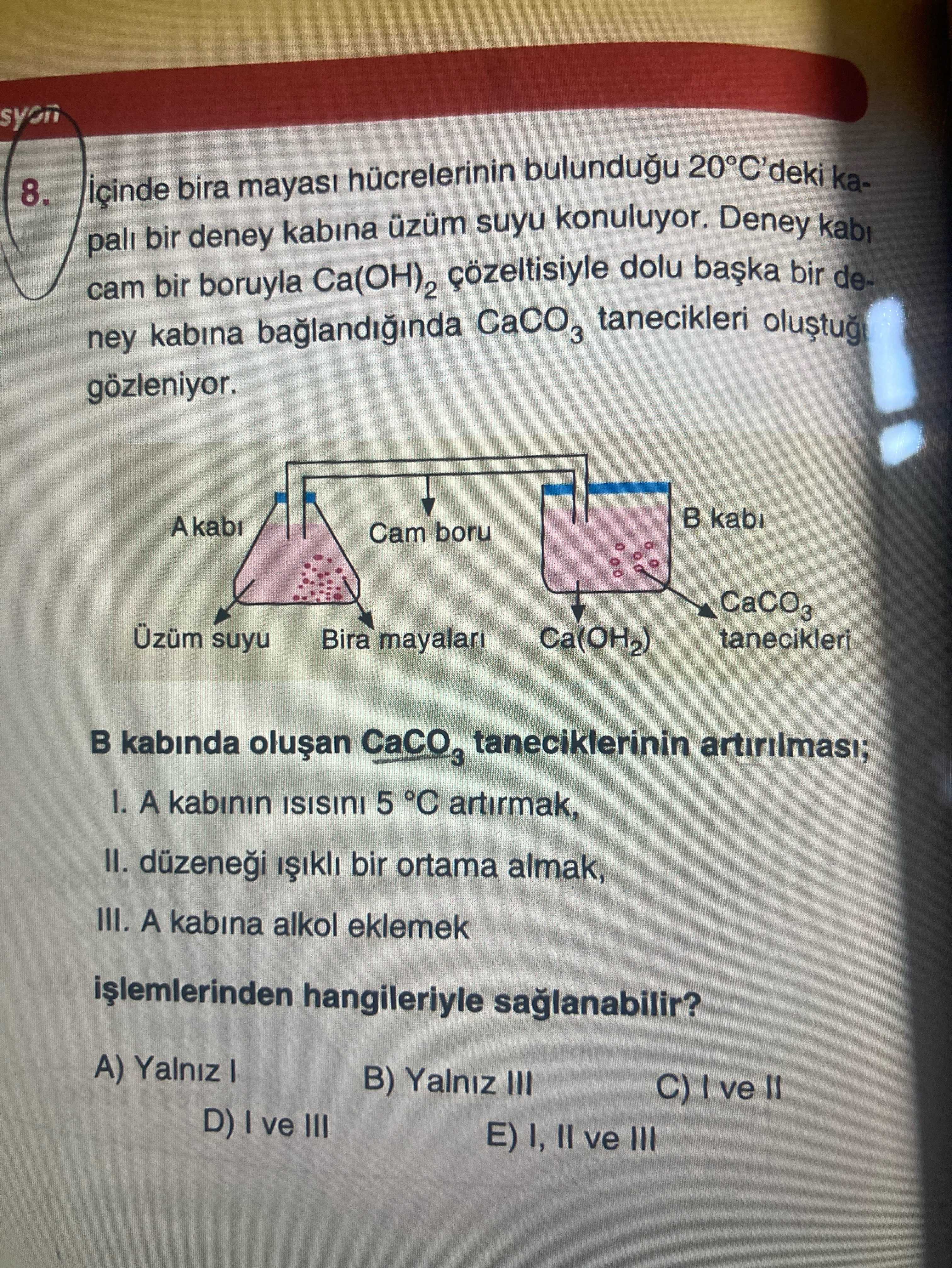 İçinde bira mayası hücrelerinin bulunduğu 20°C'deki kapalı bir deney kabına üzüm suyu konuluyor